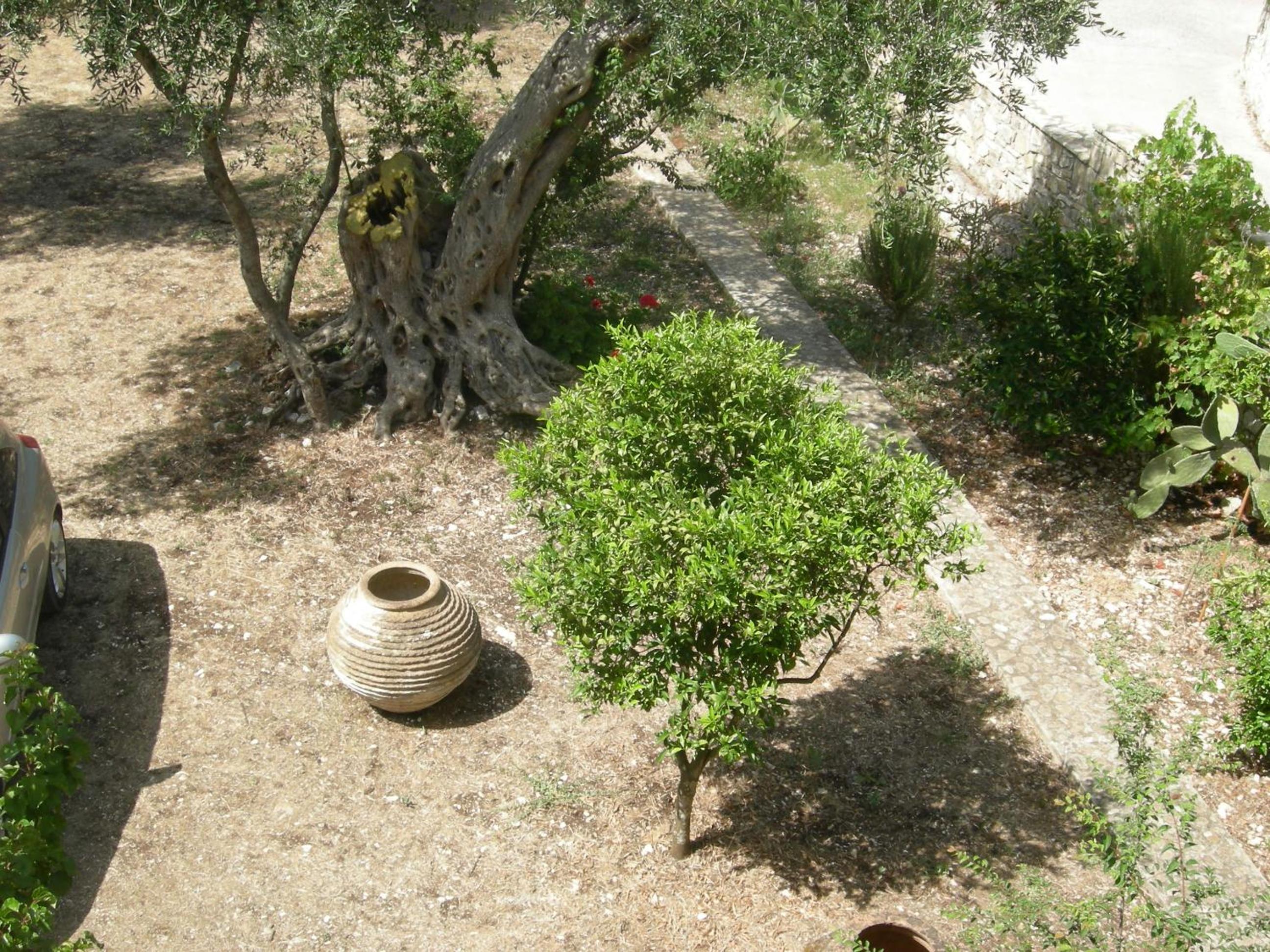 Photo 33