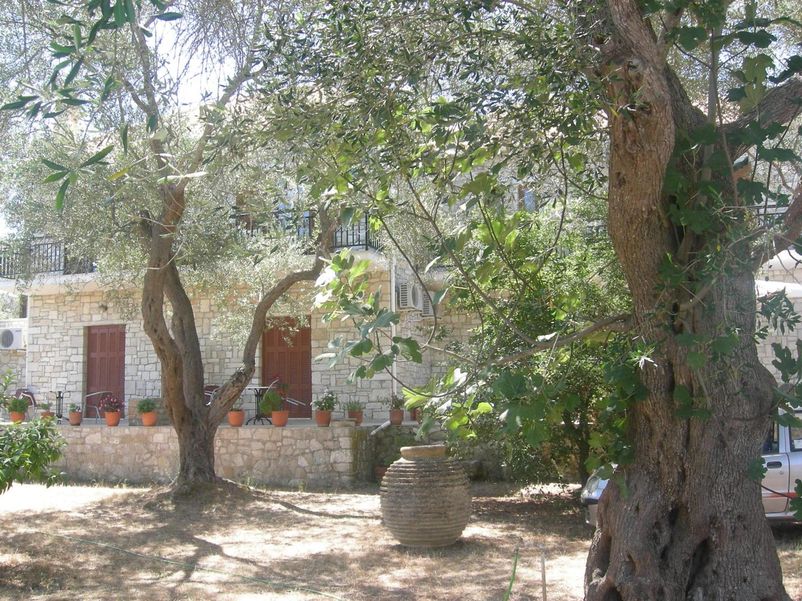 Photo 32