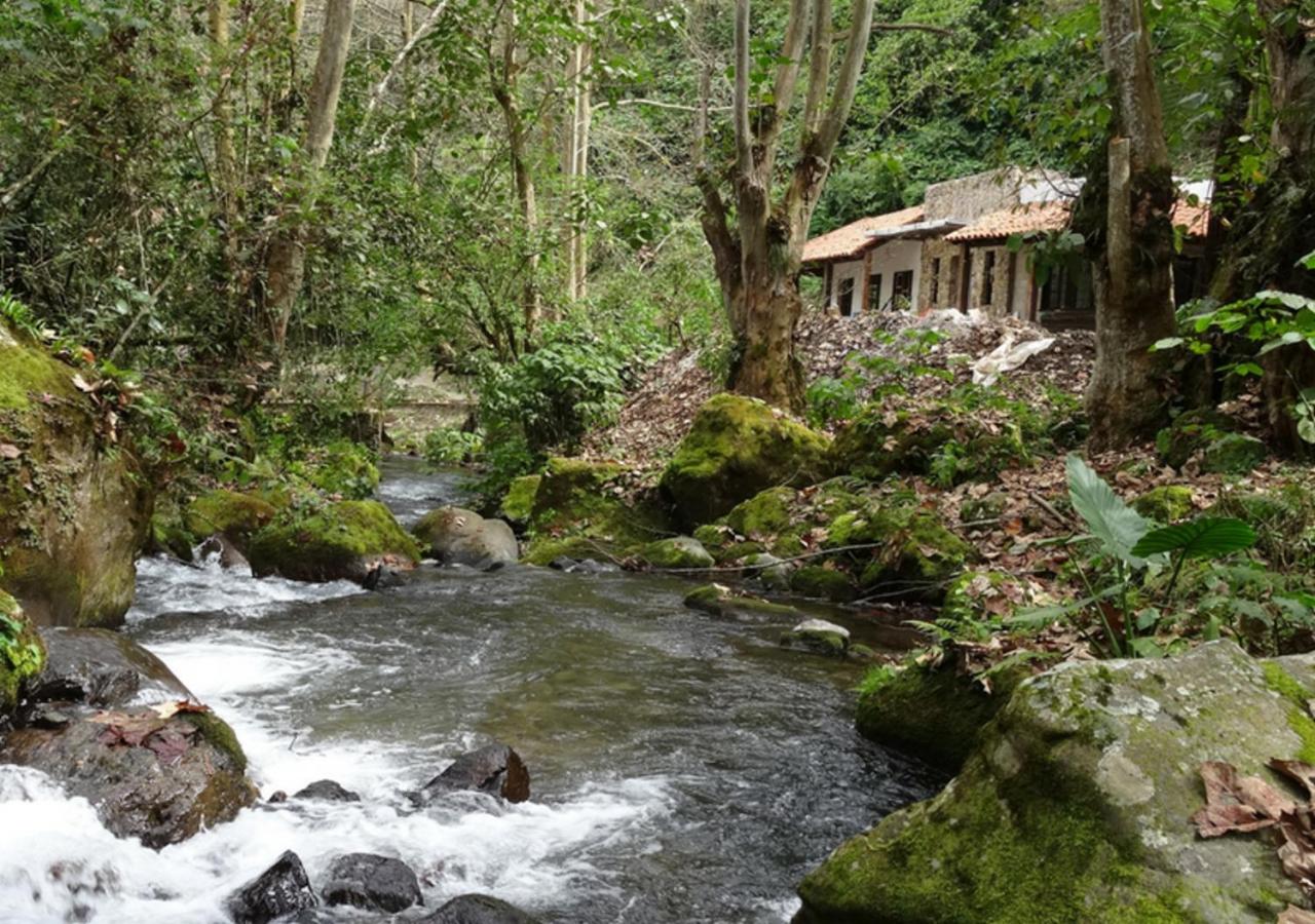 Recinto Natural SEMUK view 4