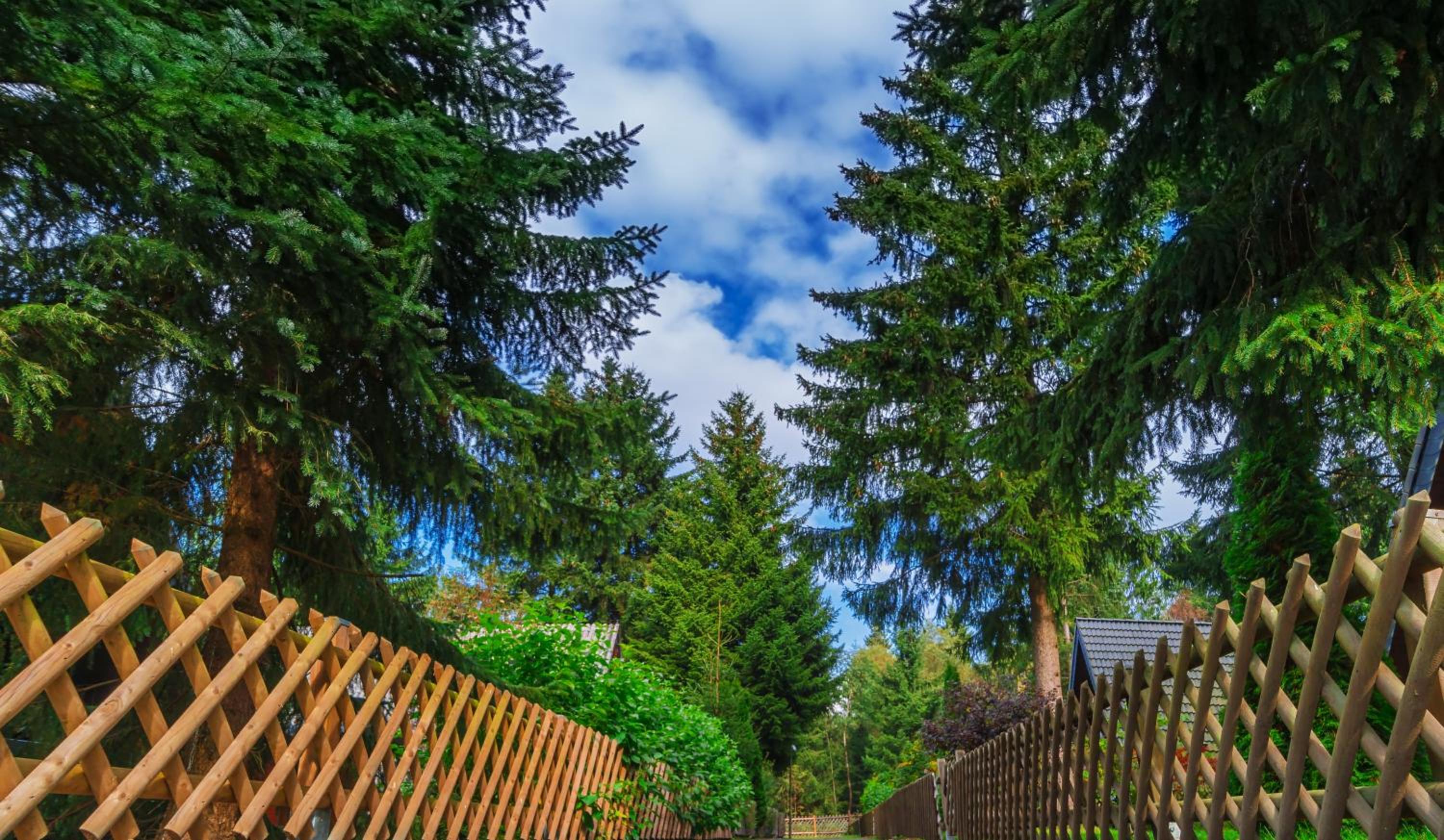 Waldsee Feriendienst 'Ferienpark am Waldsee'