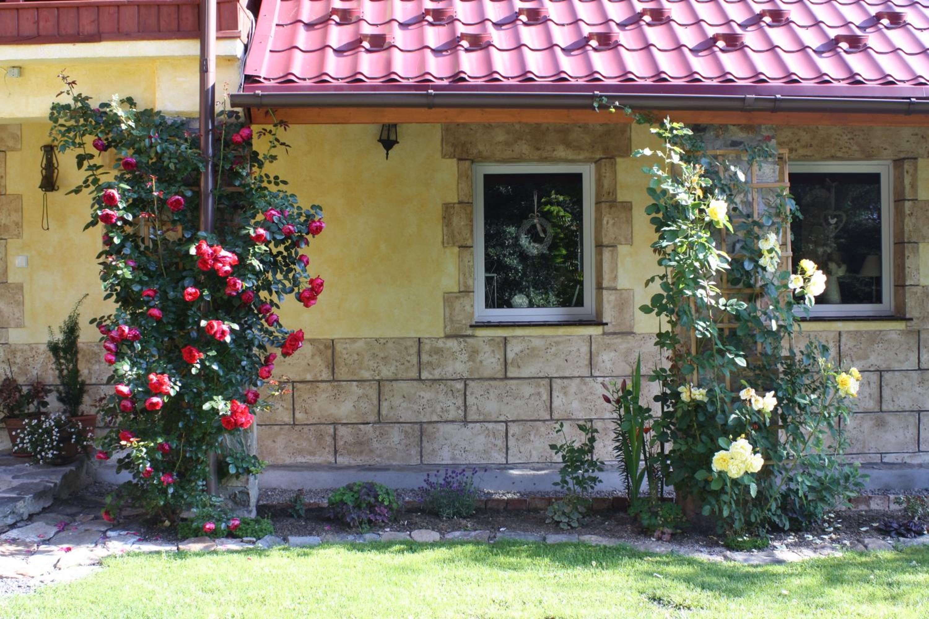 Photo 47