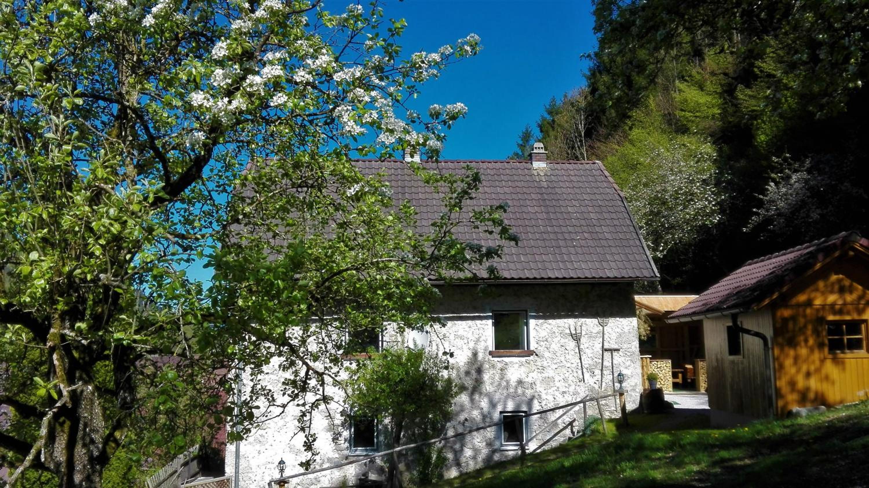 Ferienhaus Hirschnest