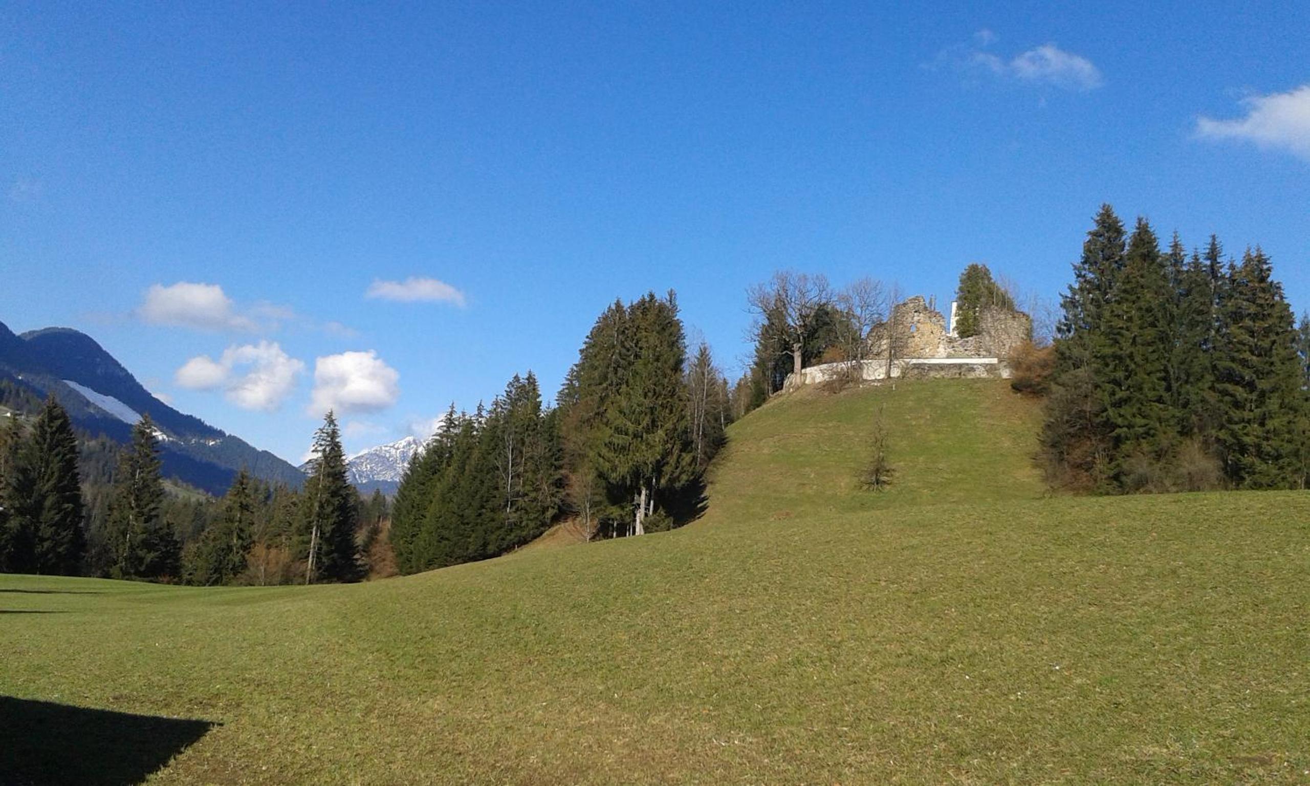 Hofbauer