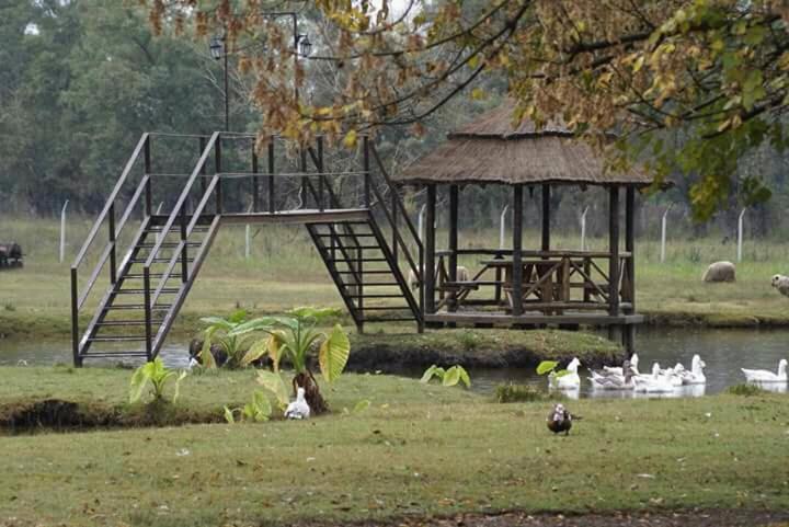 La Justina - Nuestro Campo