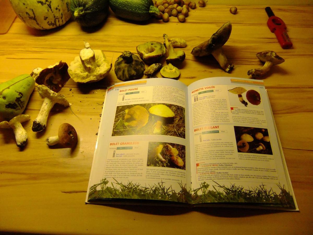 Photo 41