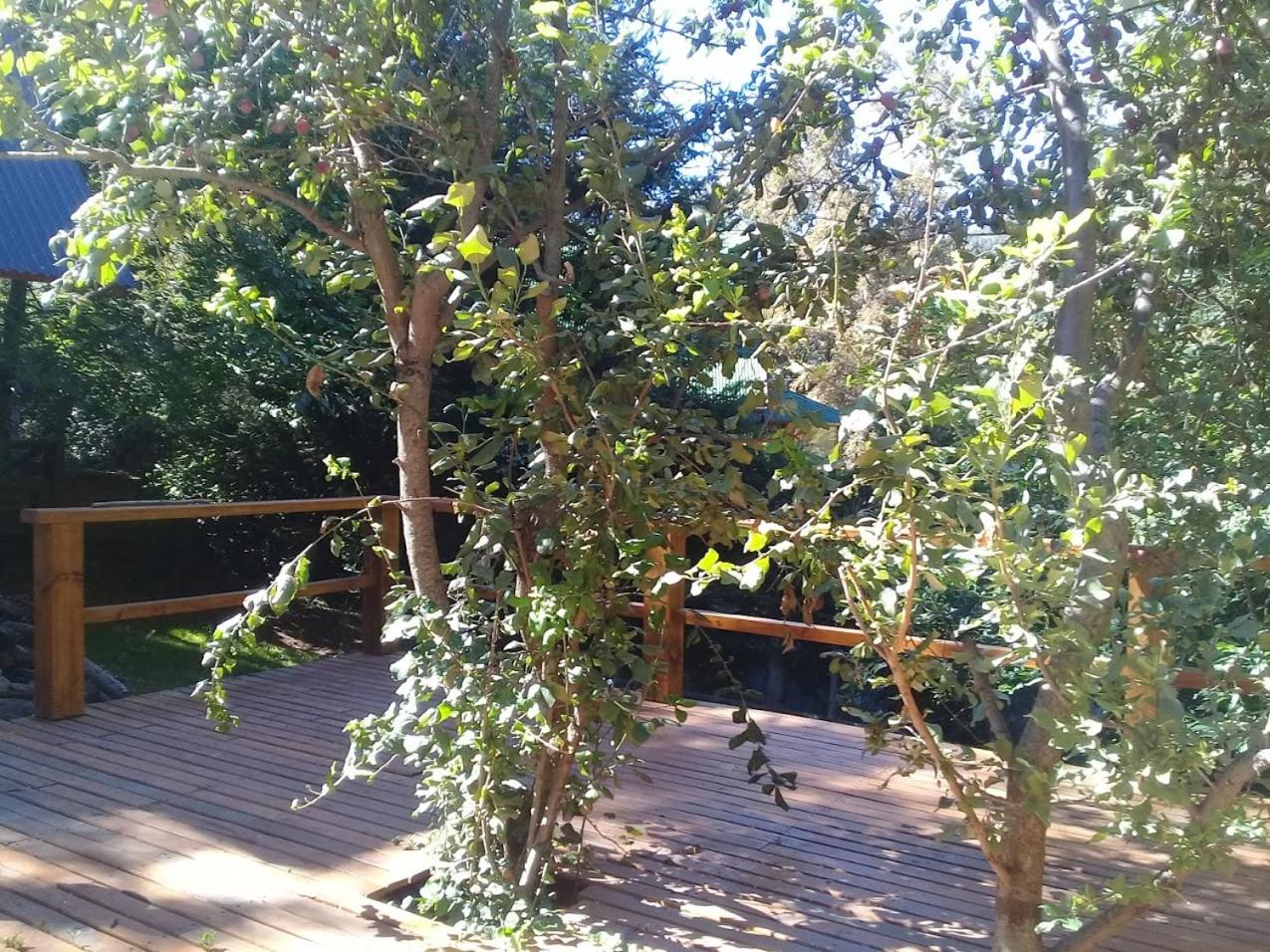 Casa Los Robles