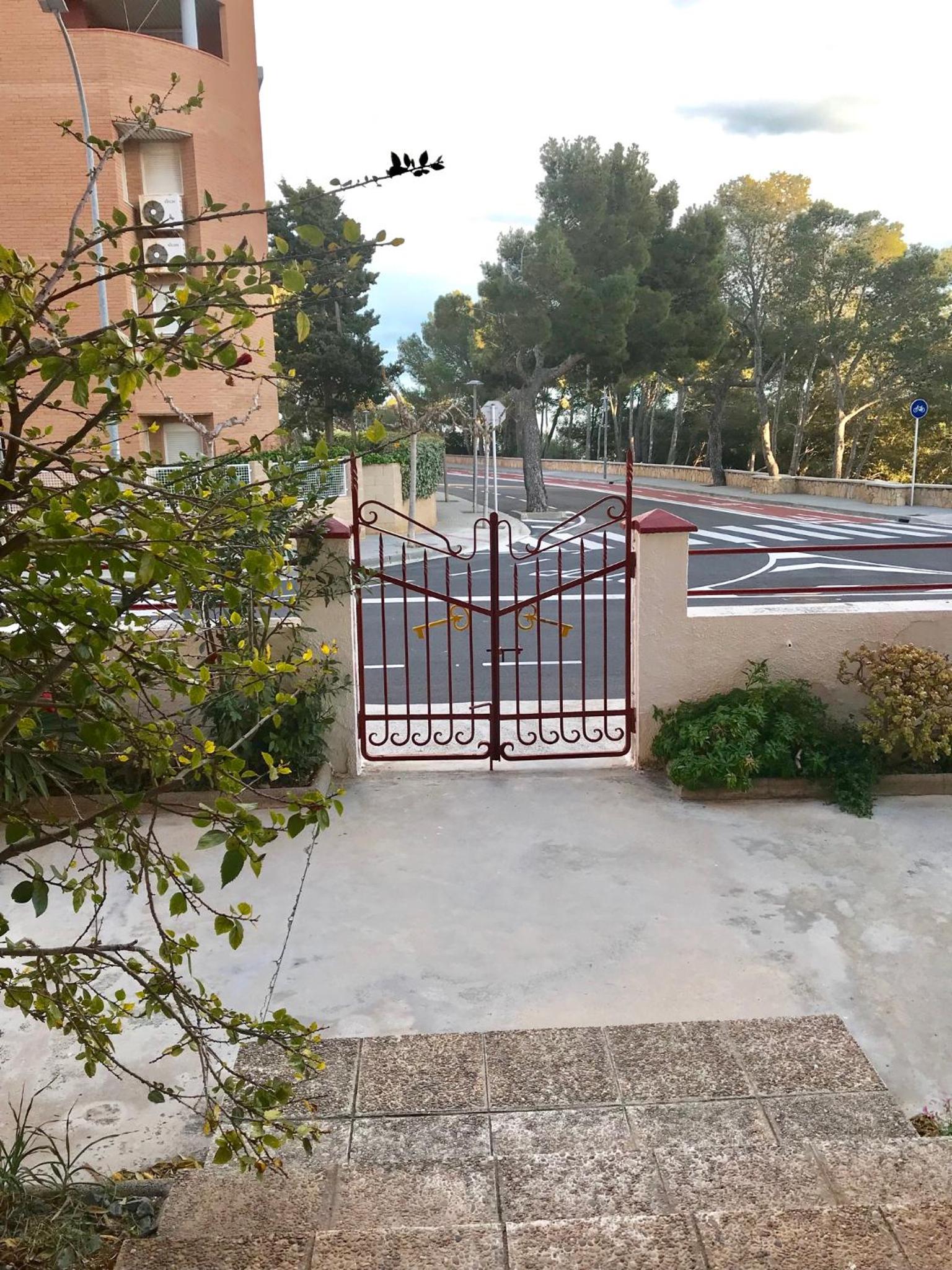 Photo 14