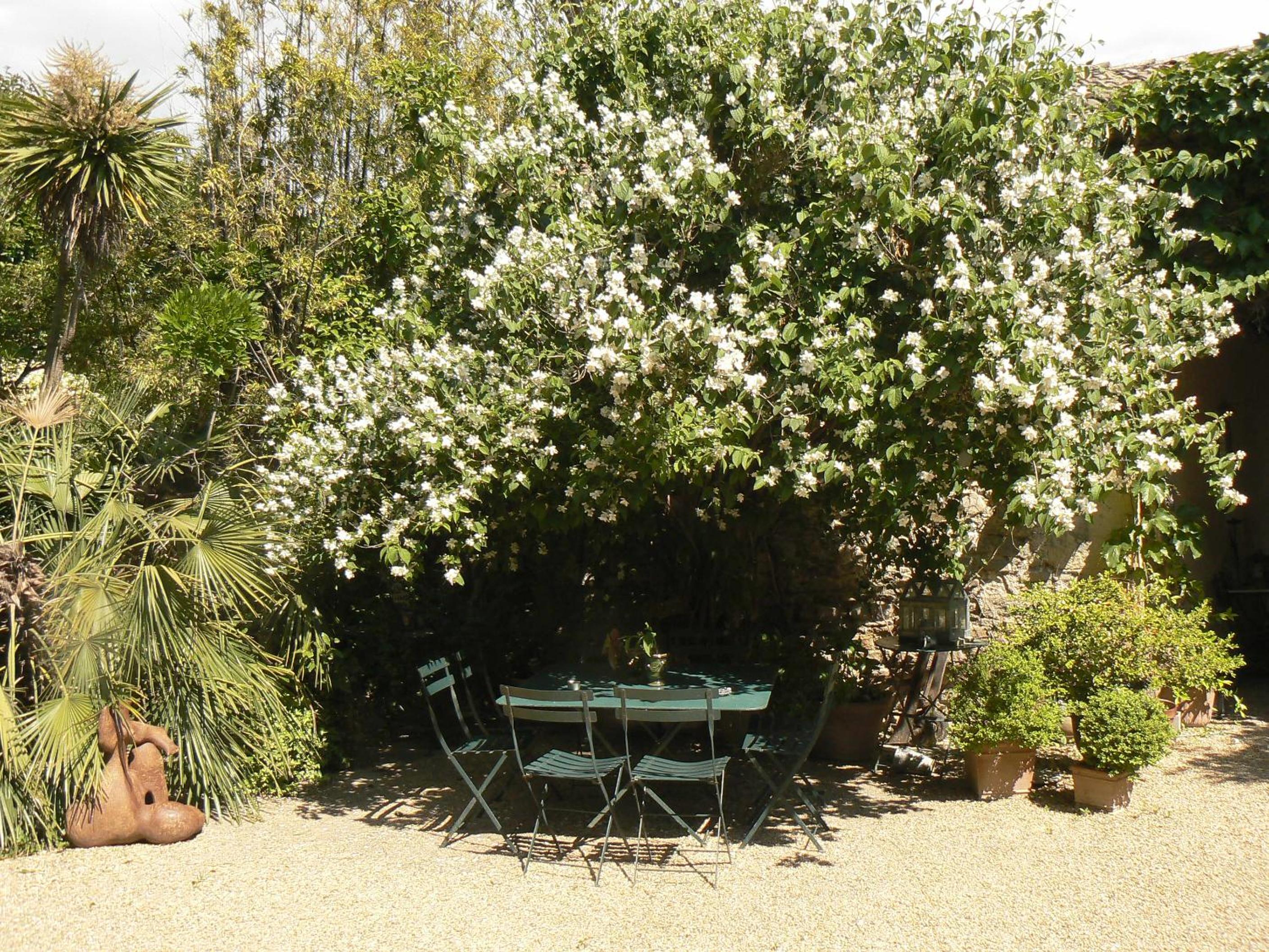 Photo 31