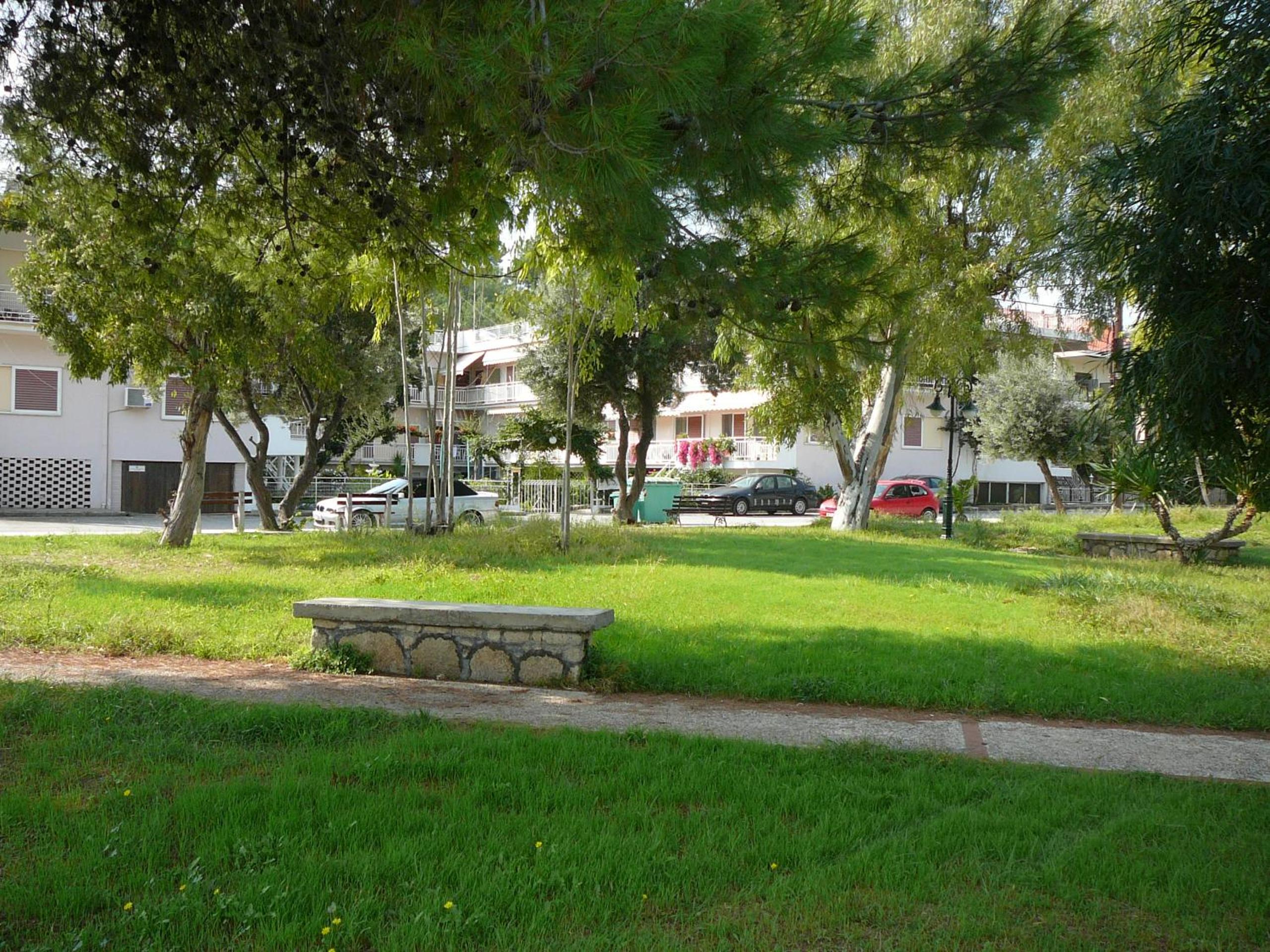 Photo 7