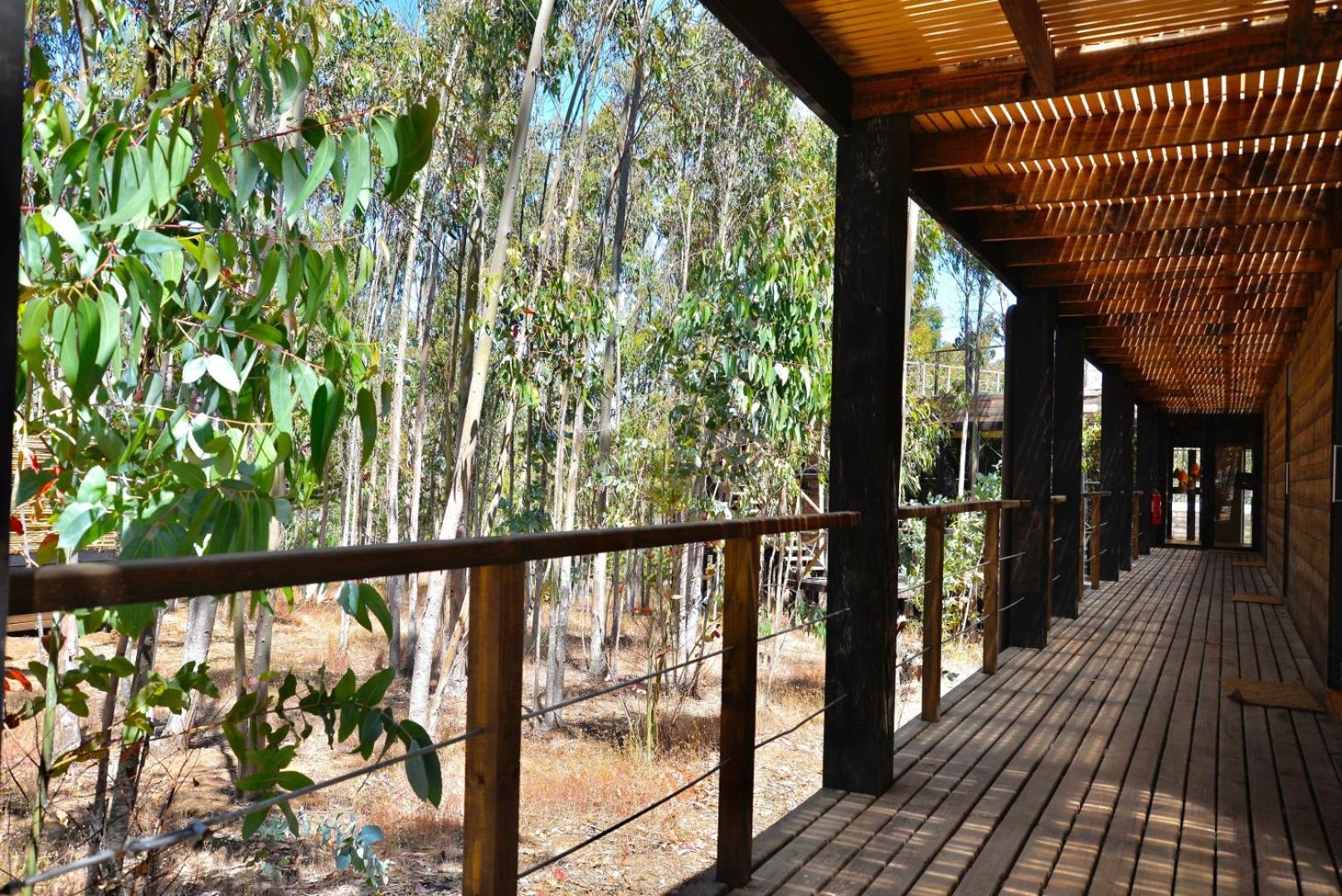 Tripanko Lodge & Bungalows