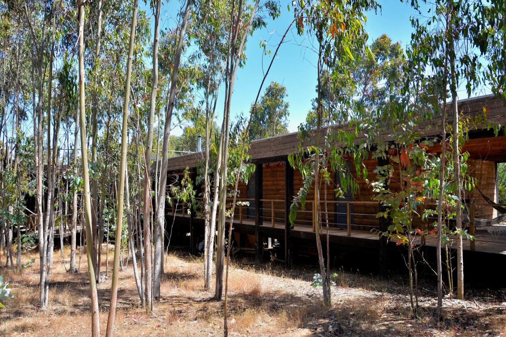 Tripanko Lodge & Bungalows