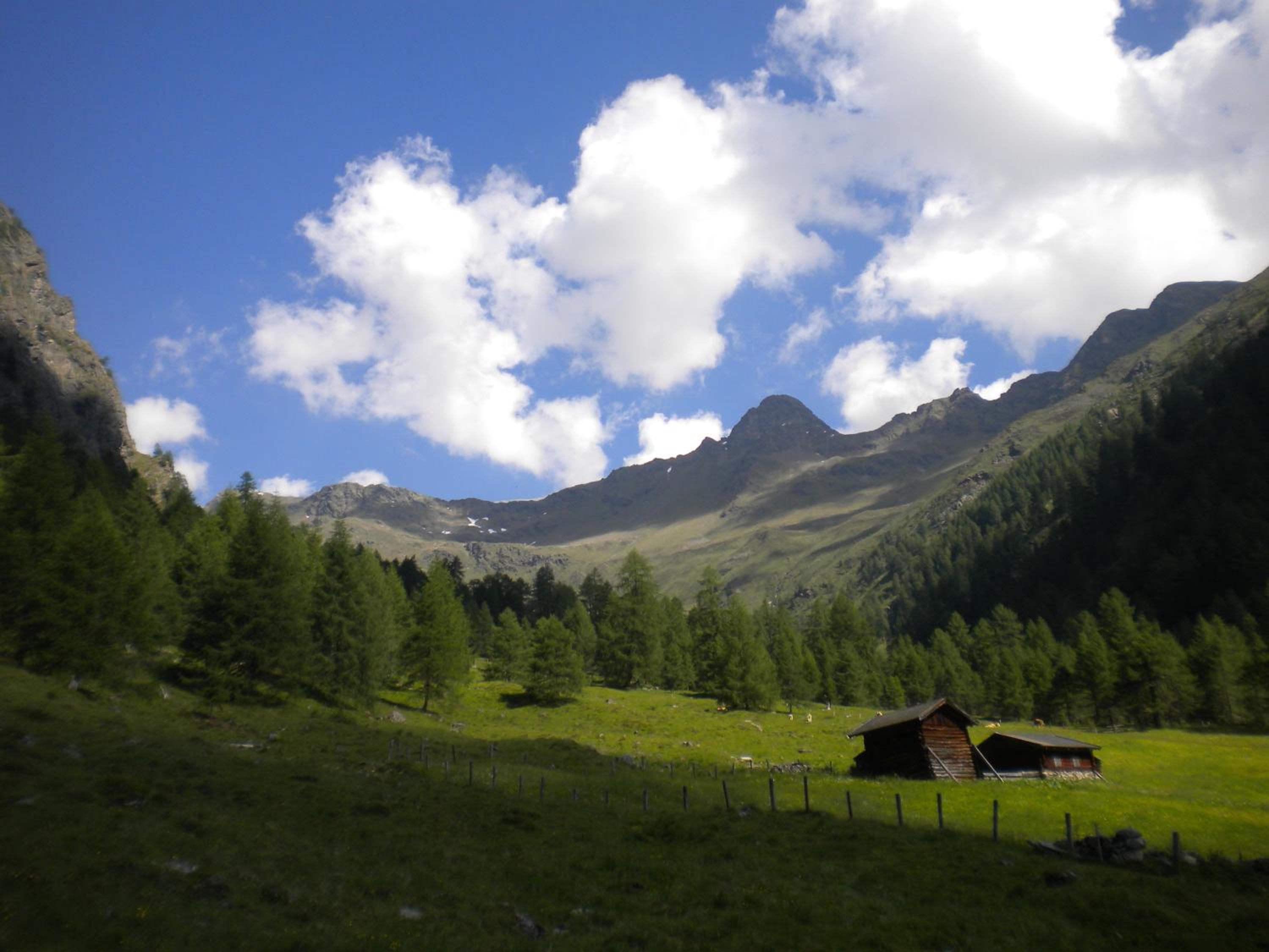 Bed & Breakfast Dolomiti Bey Haus Pinter