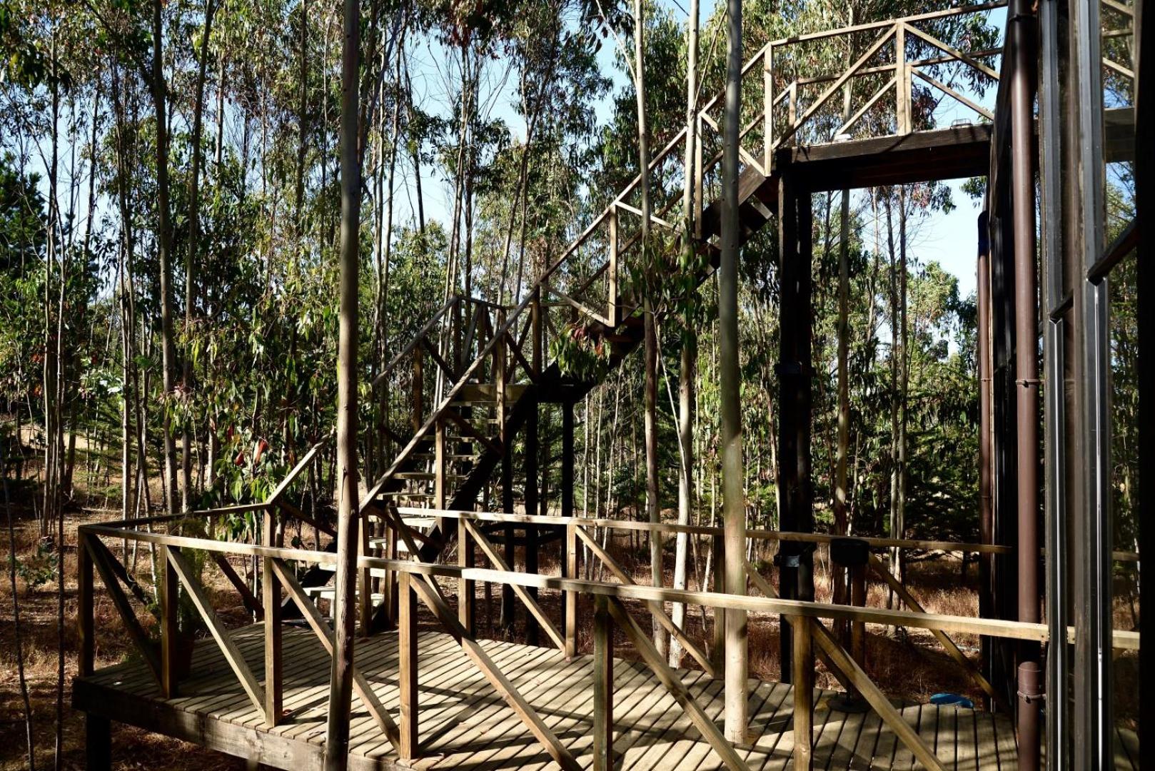 Tripanko Lodge & Bungalows