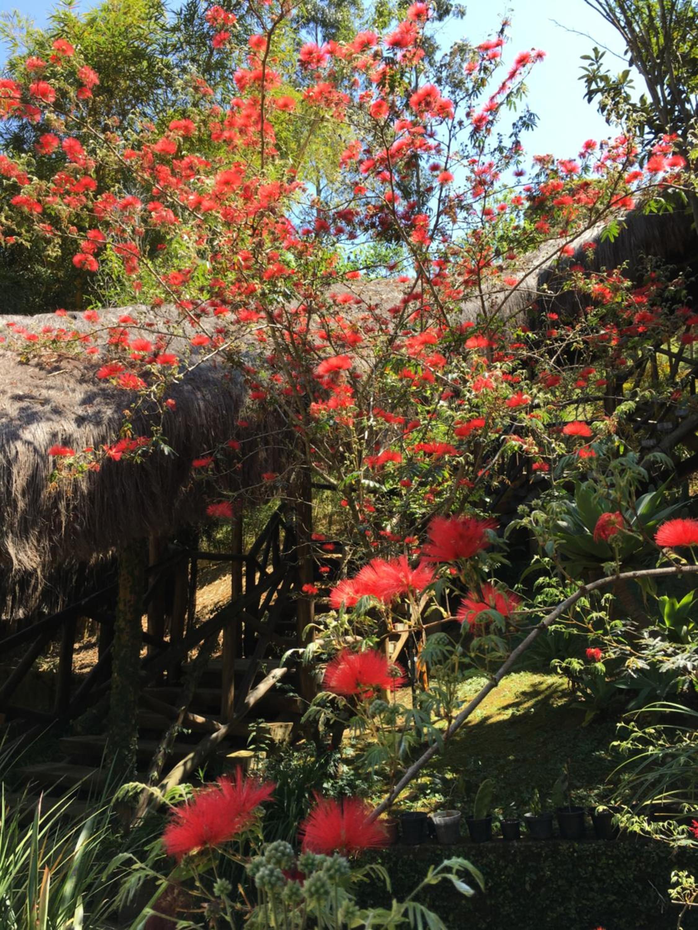 Pousada Casa de Mauá