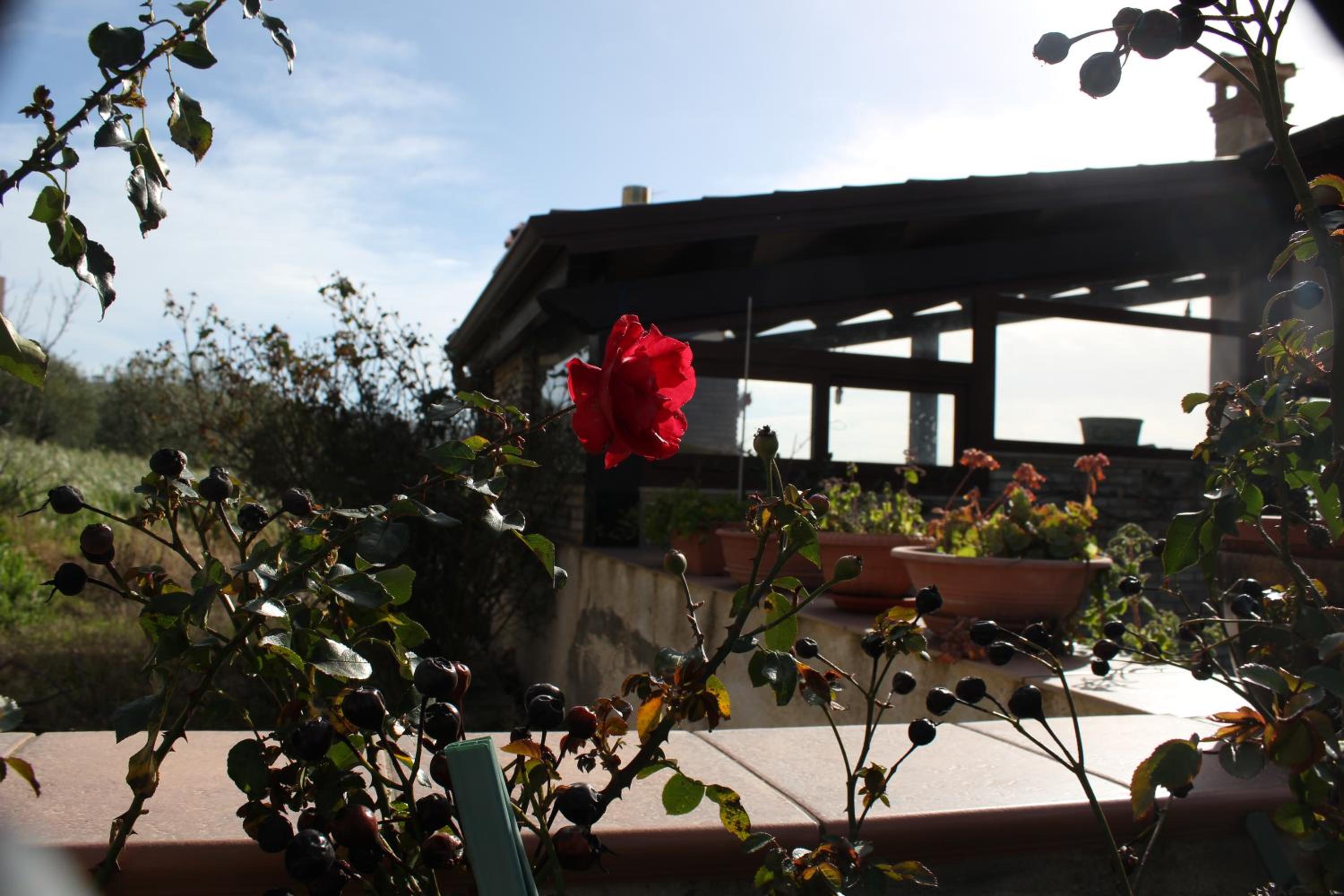 La casa di Bia view 5