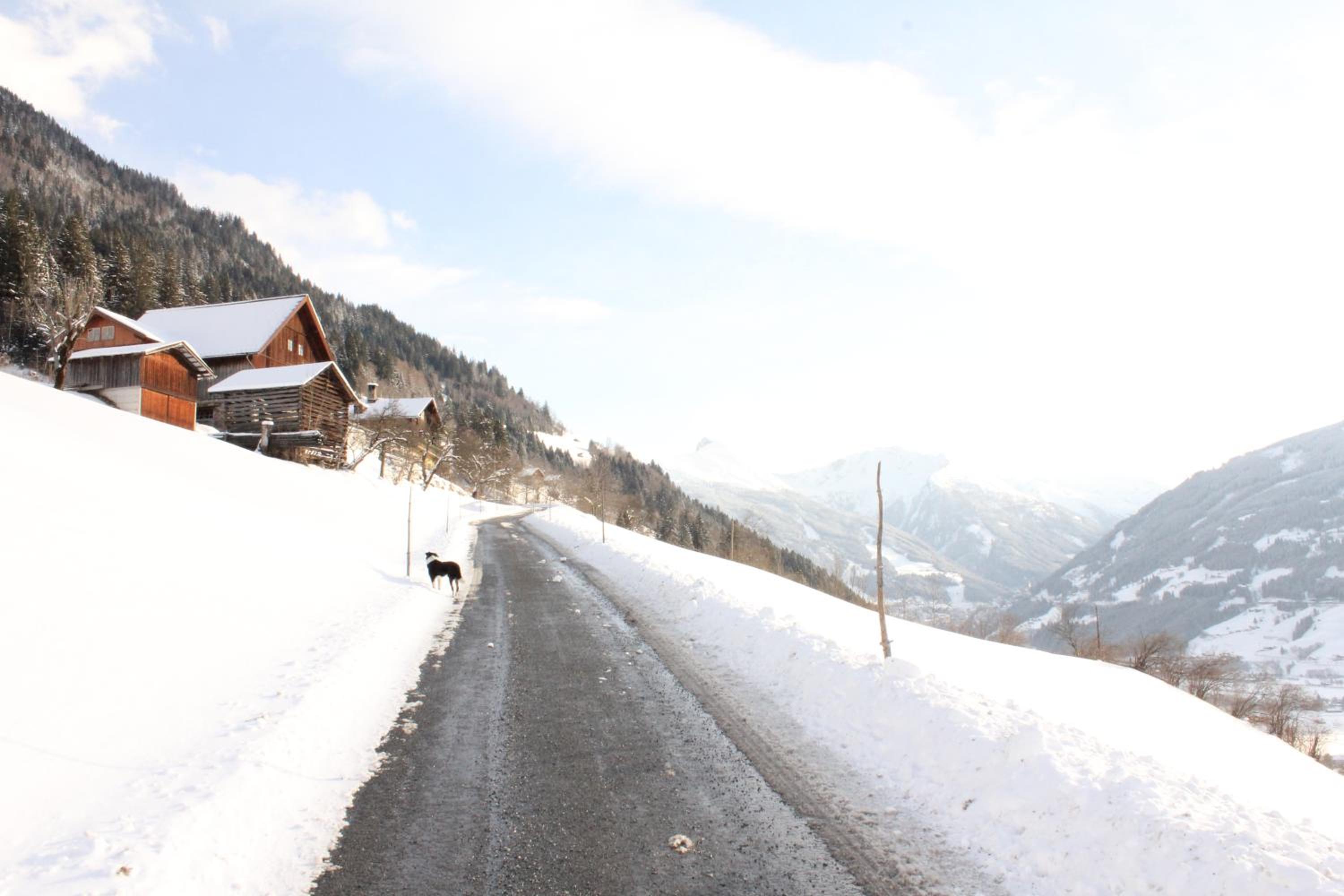 Bauernhof Grussberggut GRATIS THERME & SOMMERBERGBAHN