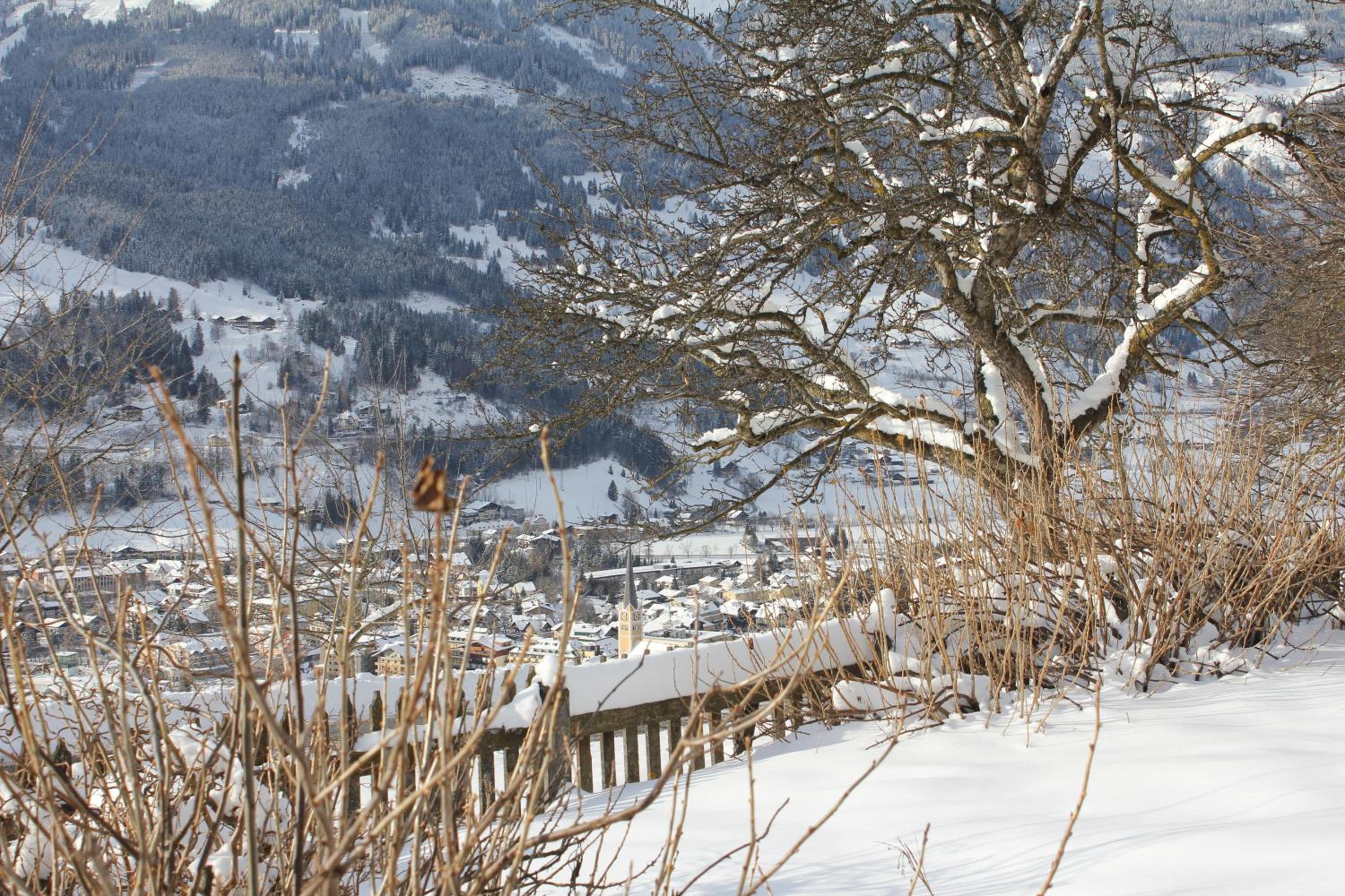 Bauernhof Grussberggut GRATIS THERME & SOMMERBERGBAHN