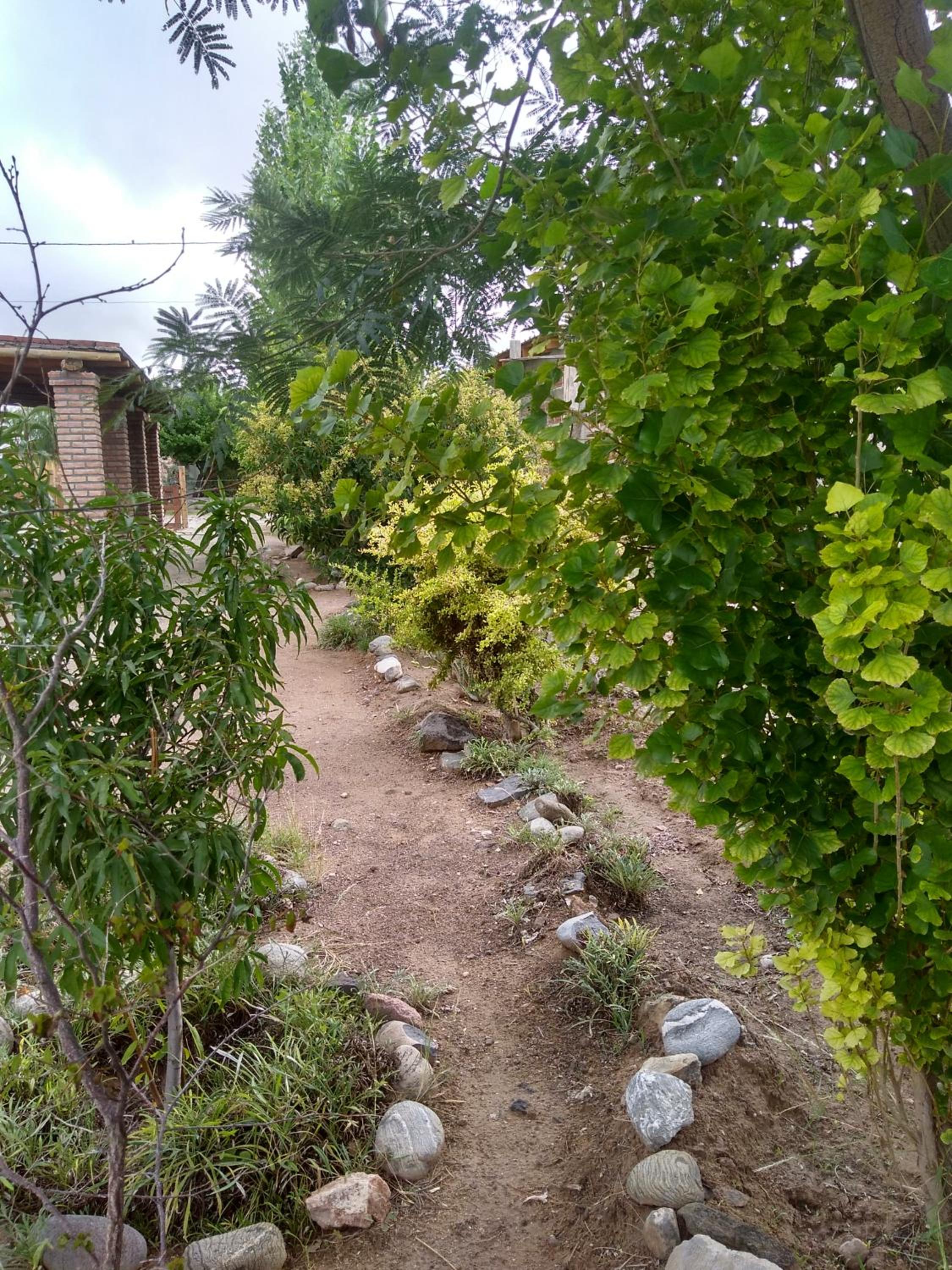 Apapachar