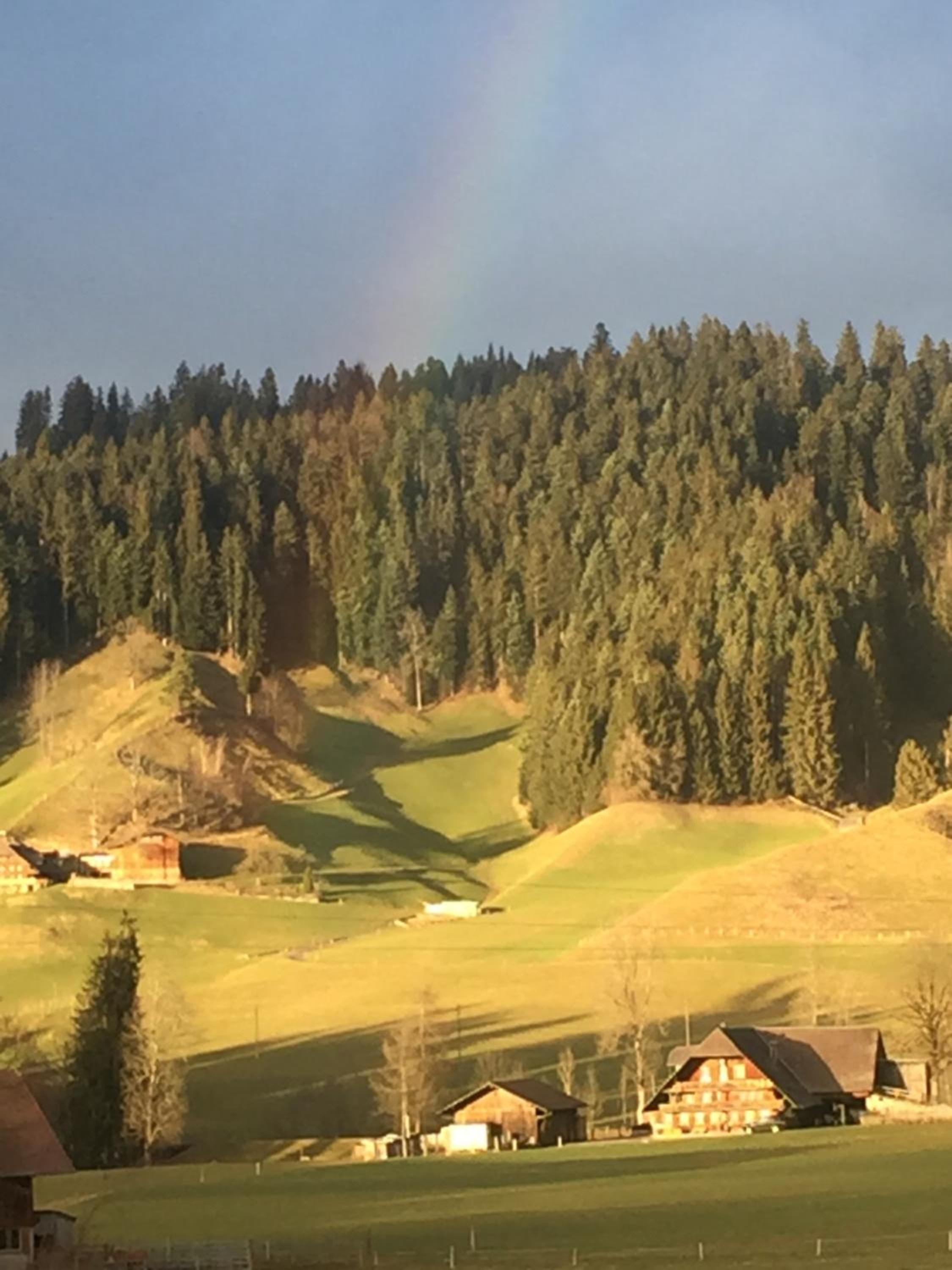 Gasthof zum Bären view 4