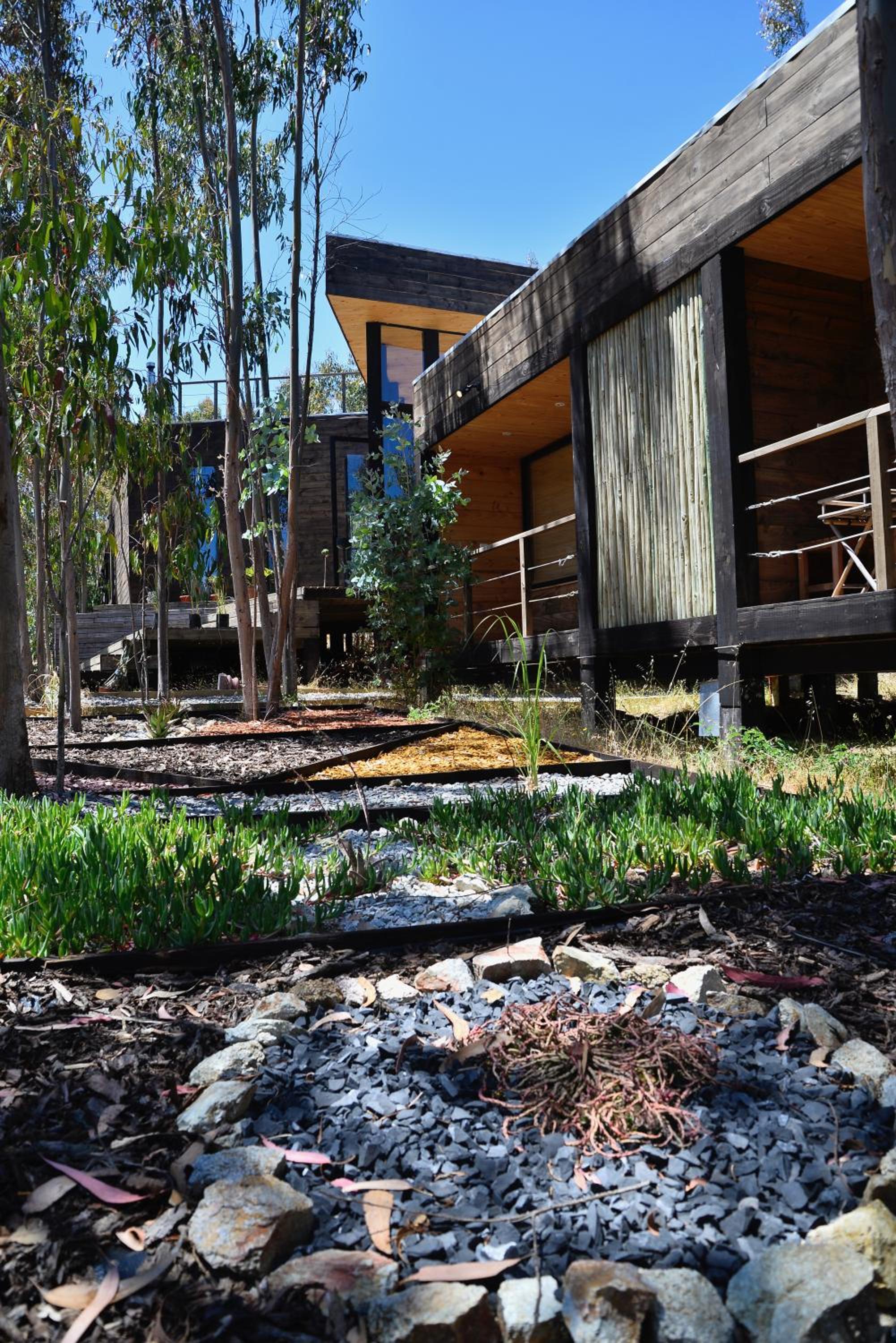 Tripanko Lodge & Bungalows