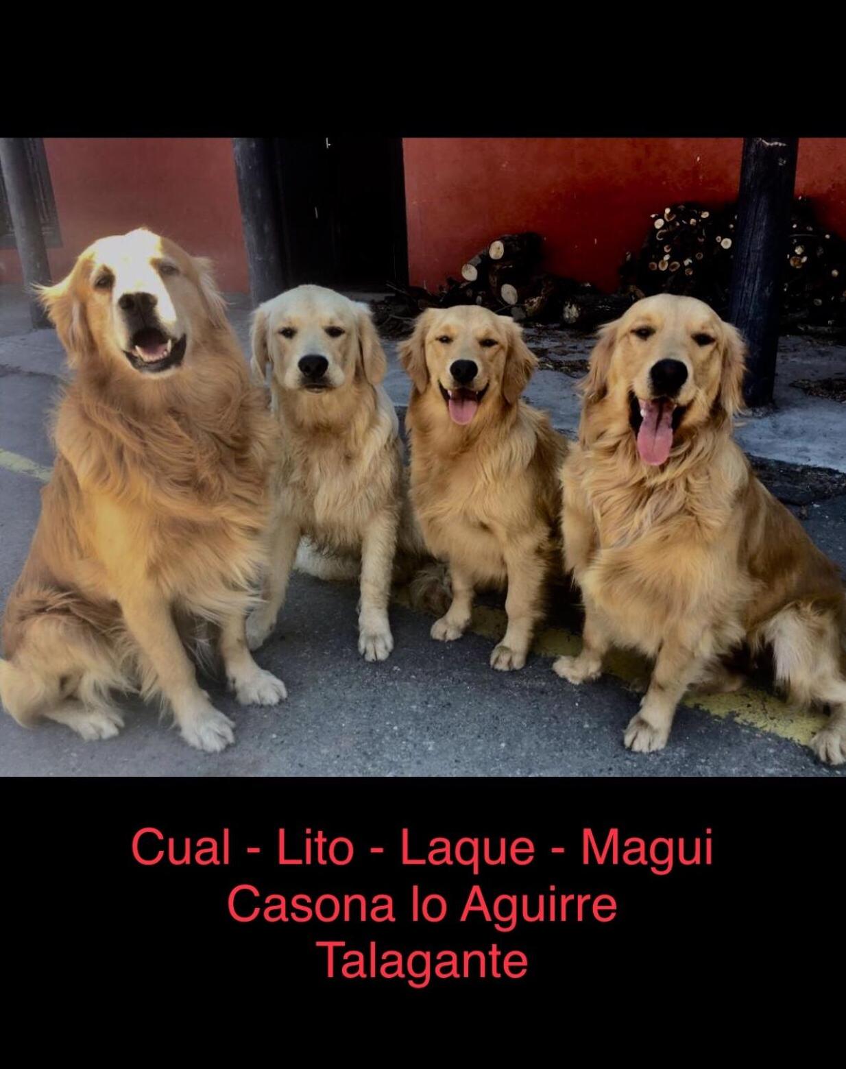 Casona Lo Aguirre , Hospedaje de Temporada Cálidas