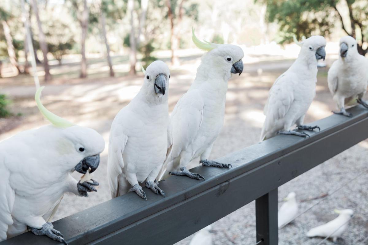 Eildon Pondage Holiday Park