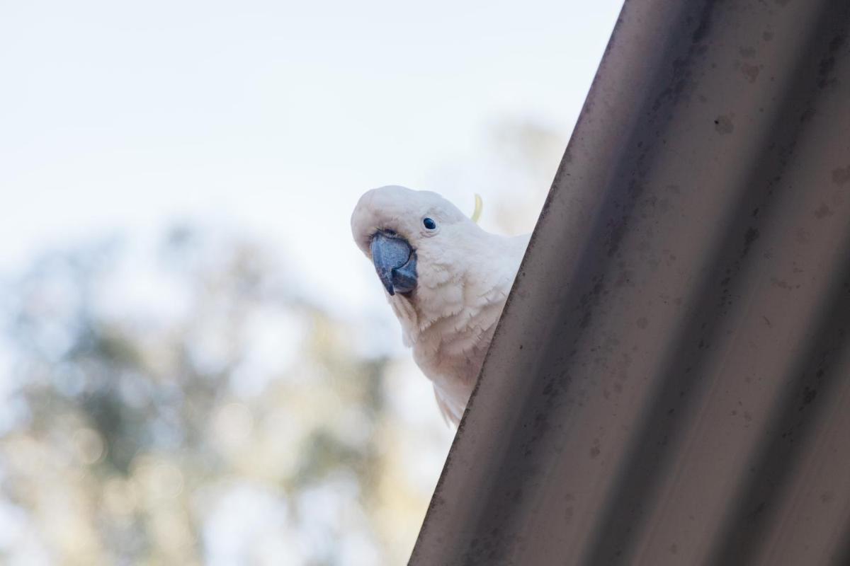 Eildon Pondage Holiday Park