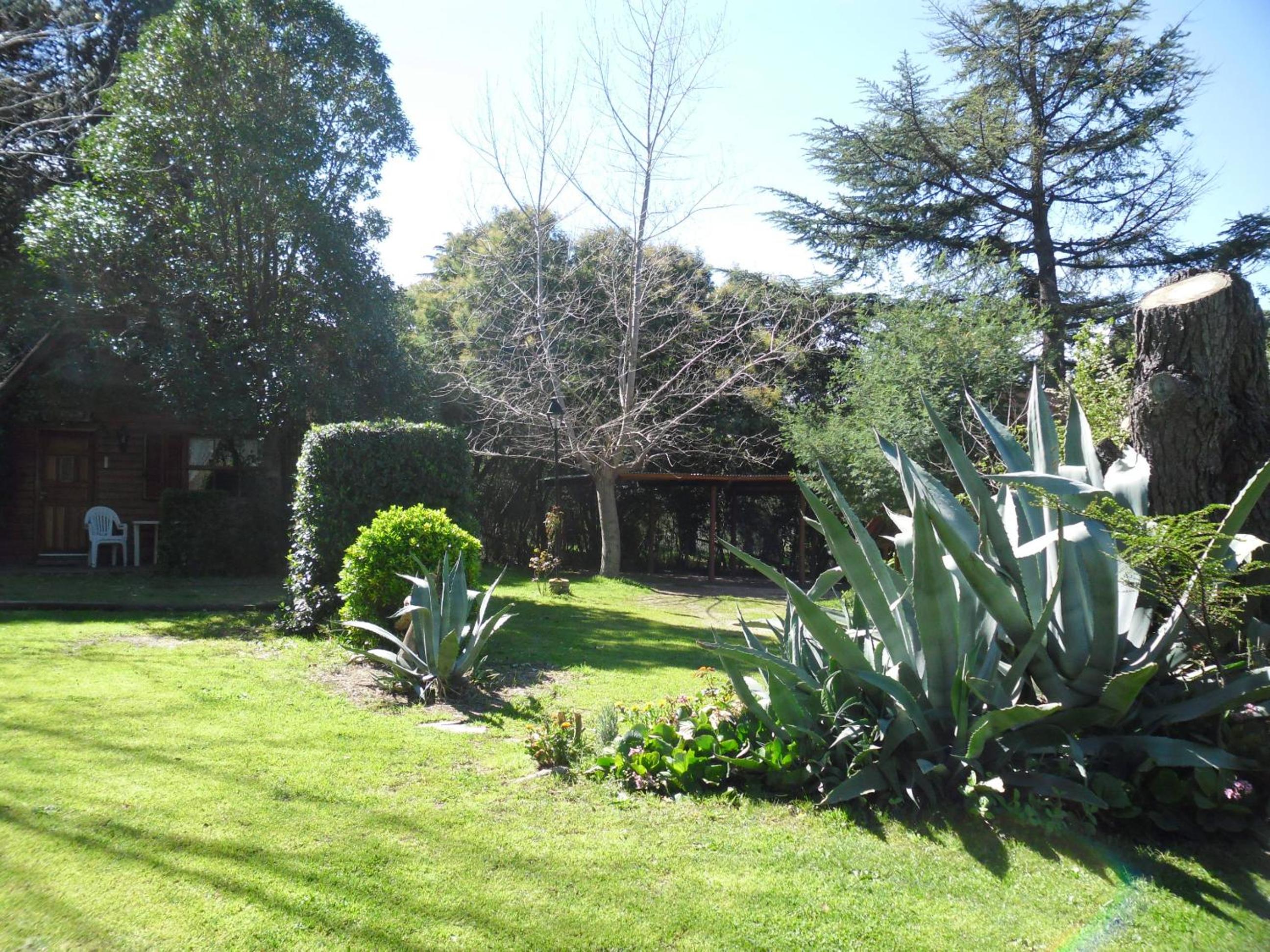 Cabañas Ñuke Mapu