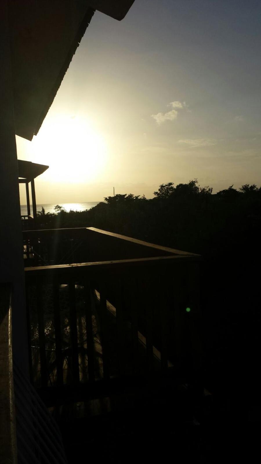 Caribbean Pearl