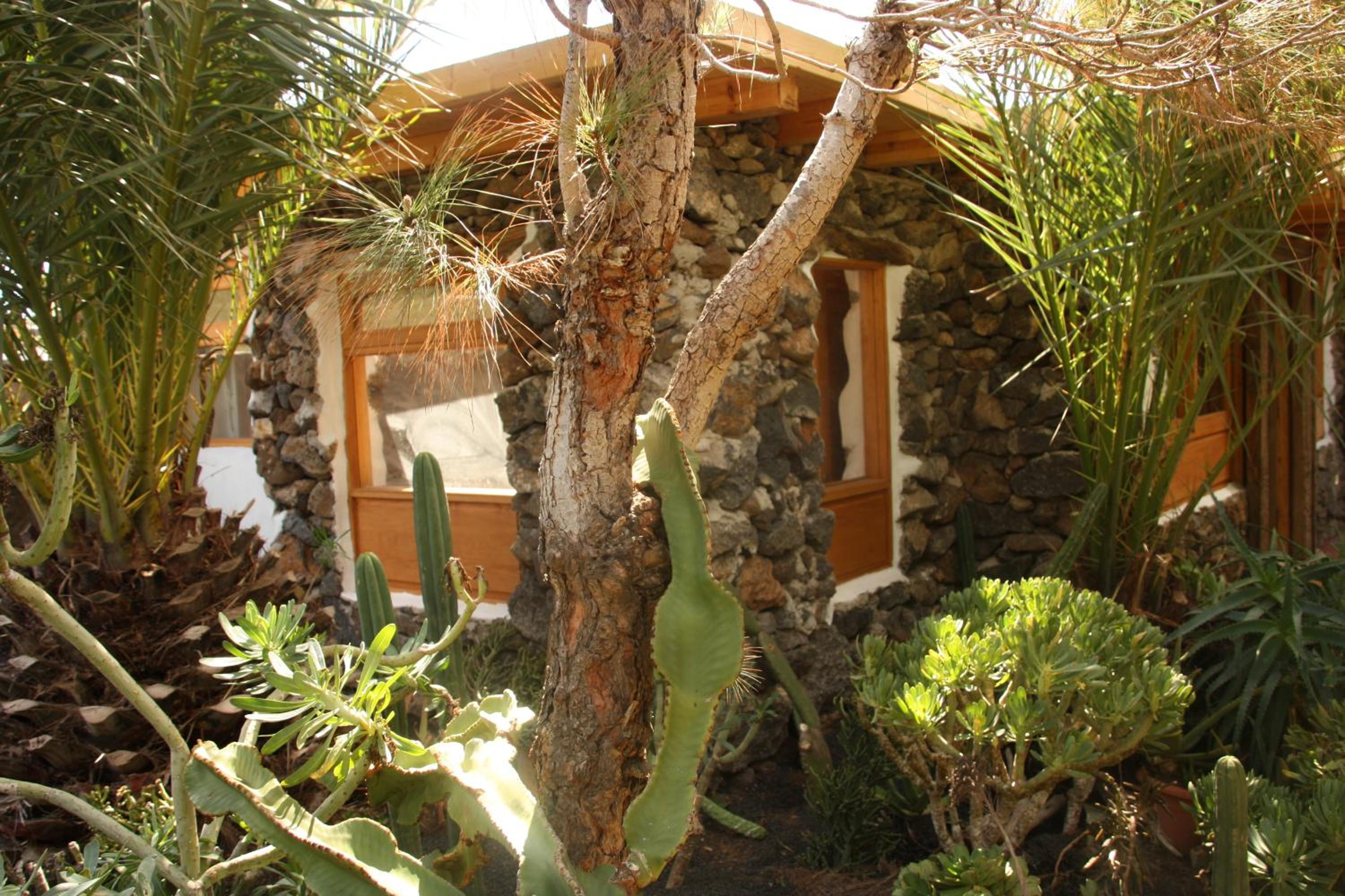 Photo 27