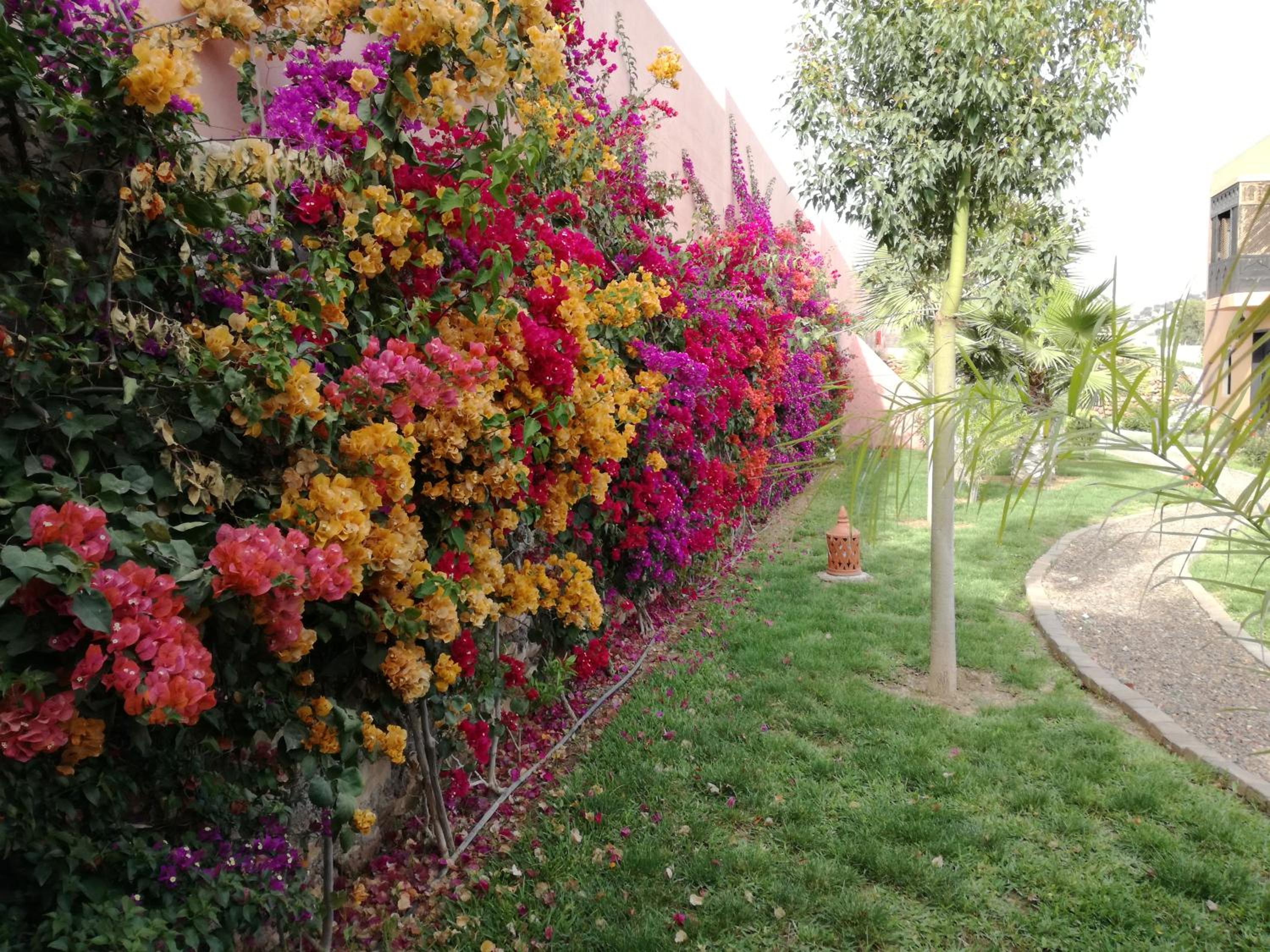 Riad Asmaa Agadir view 3