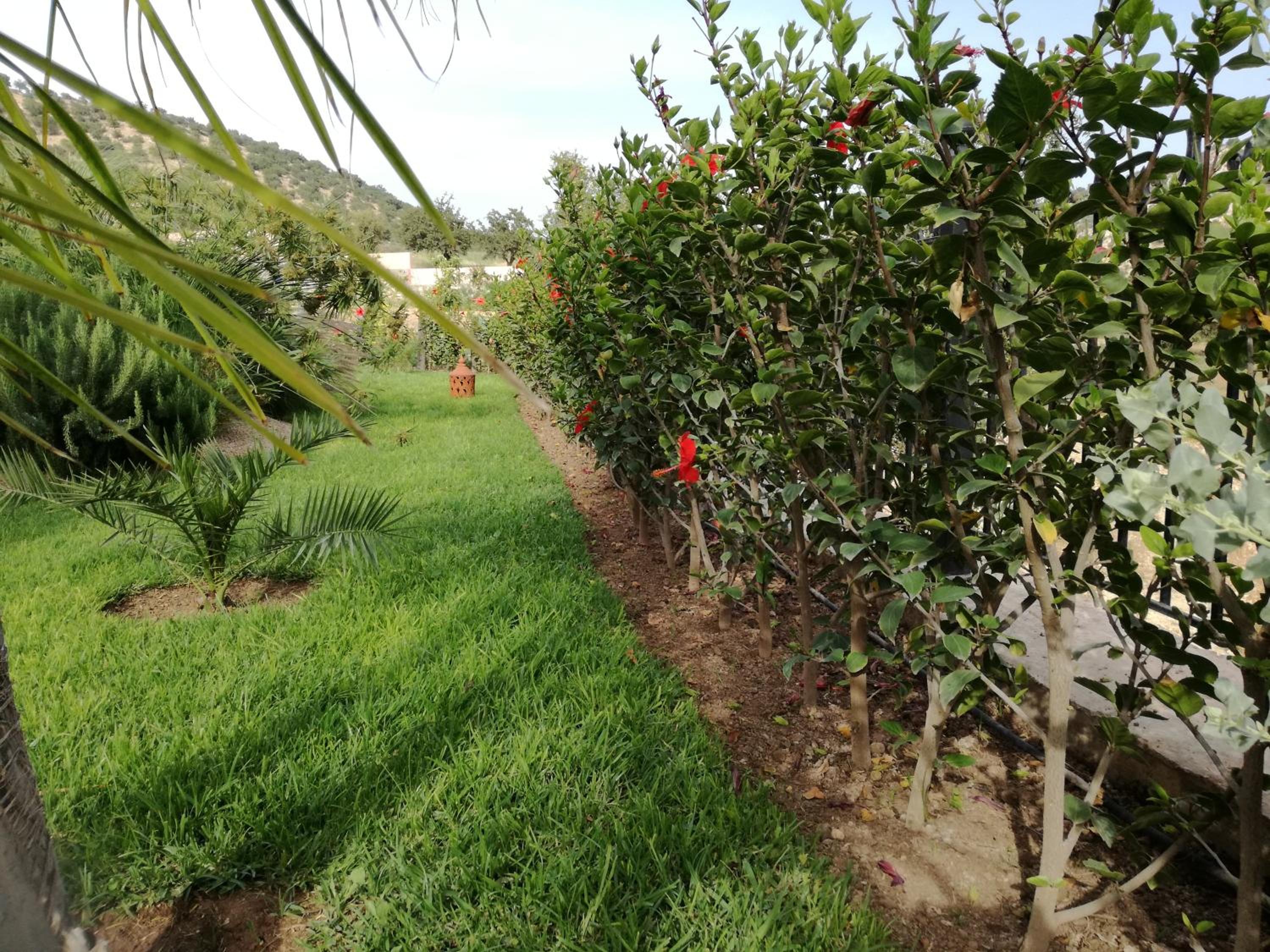 Photo 46