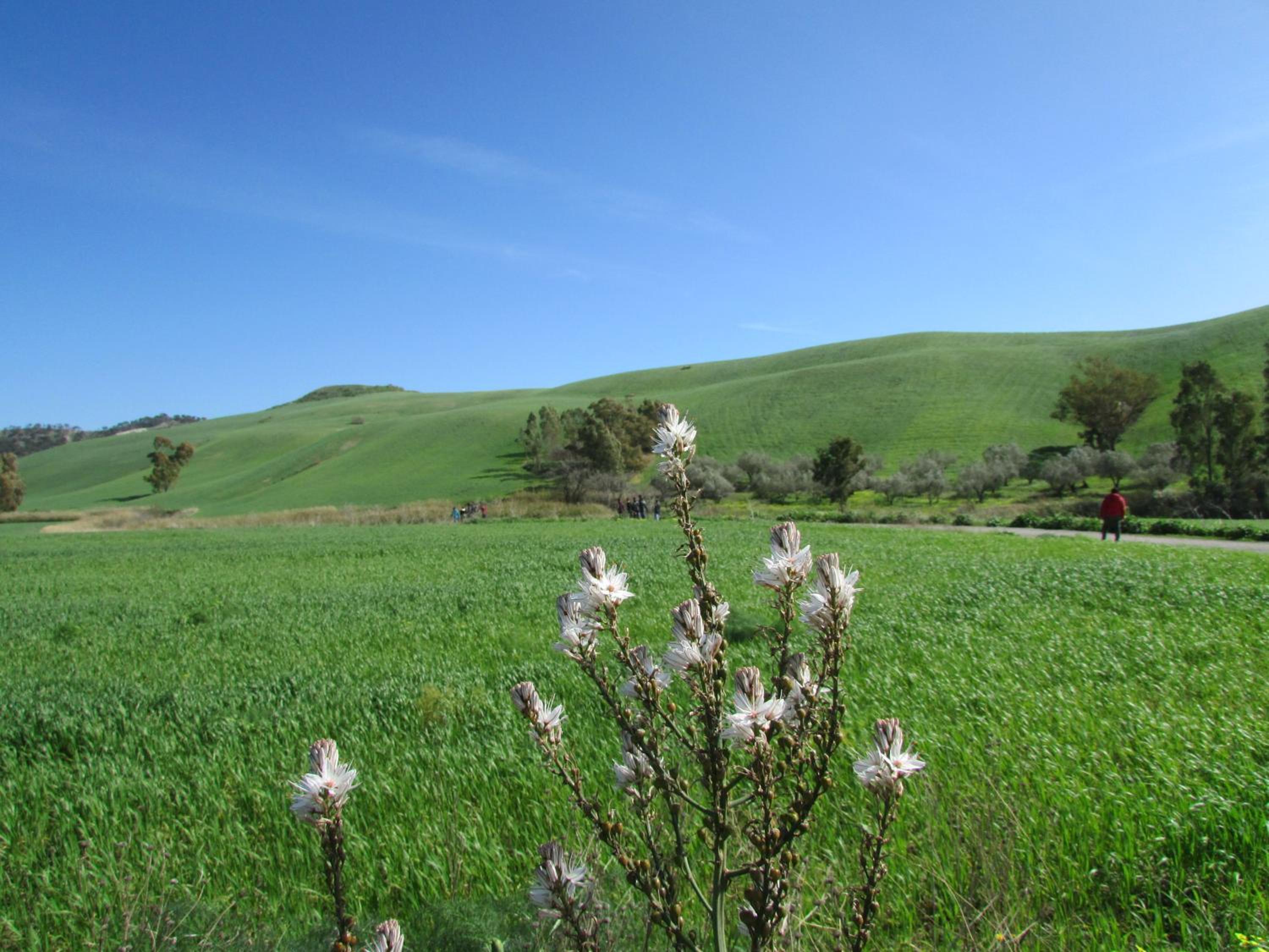 Ostello Bella Calabria