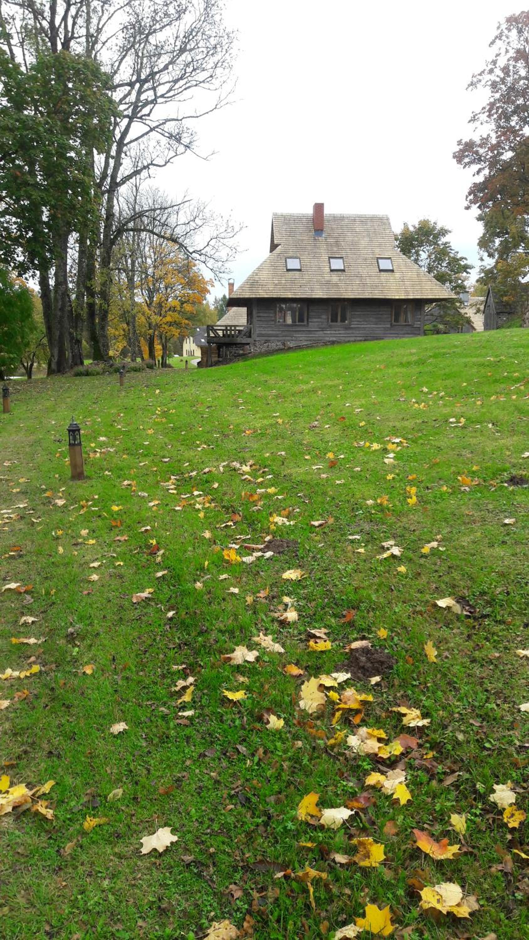 Photo 42
