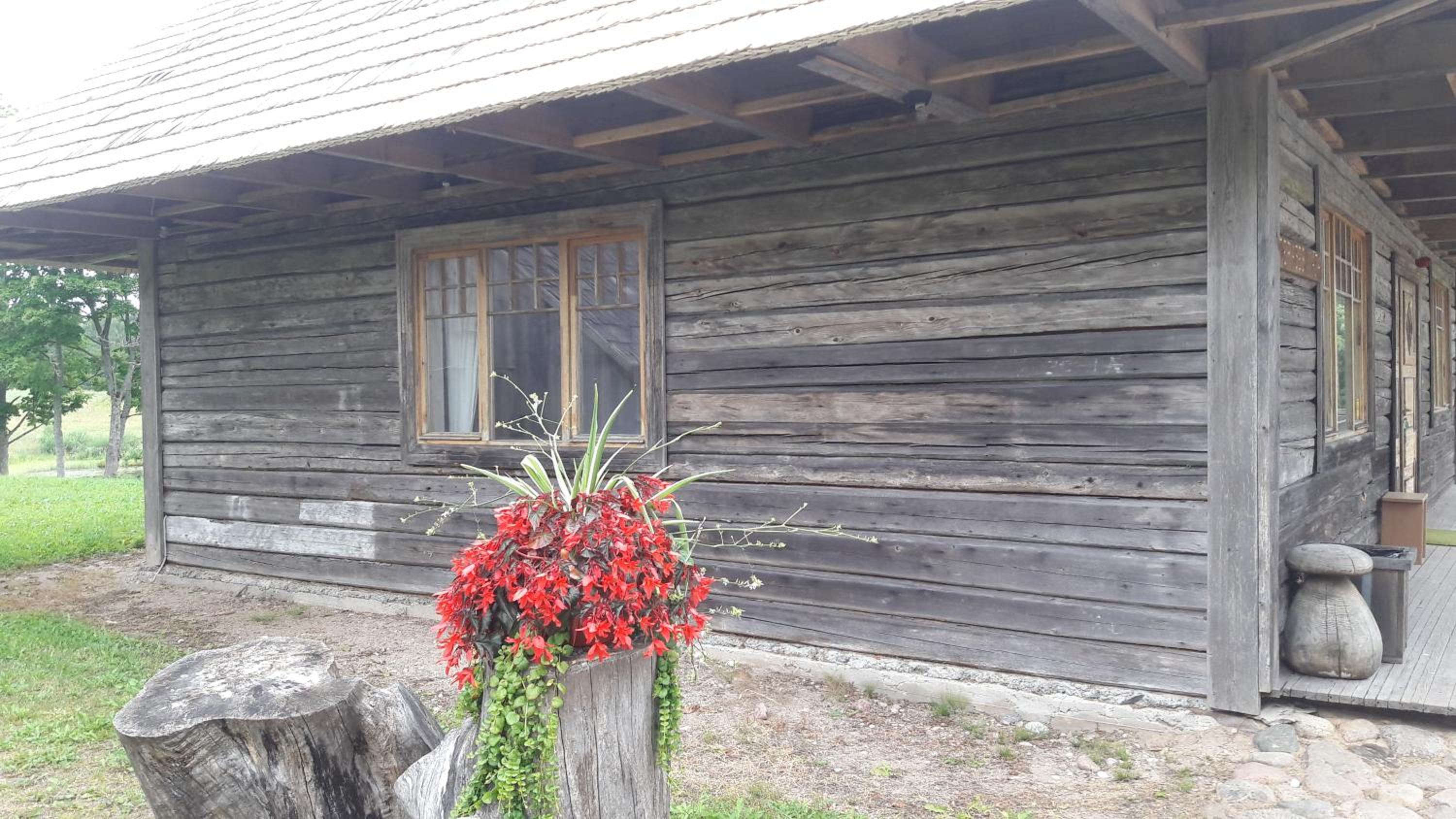 Photo 41