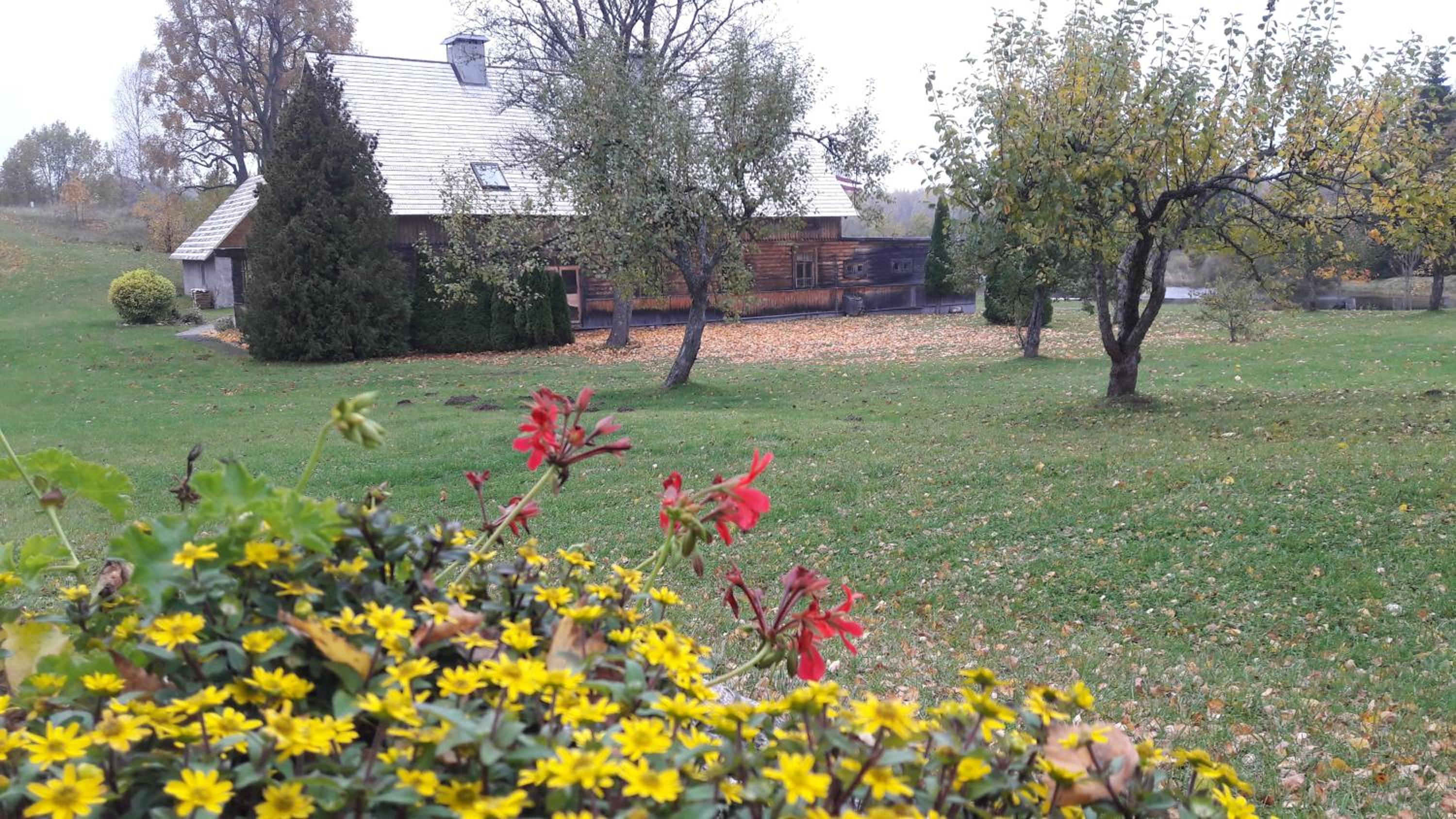Photo 28