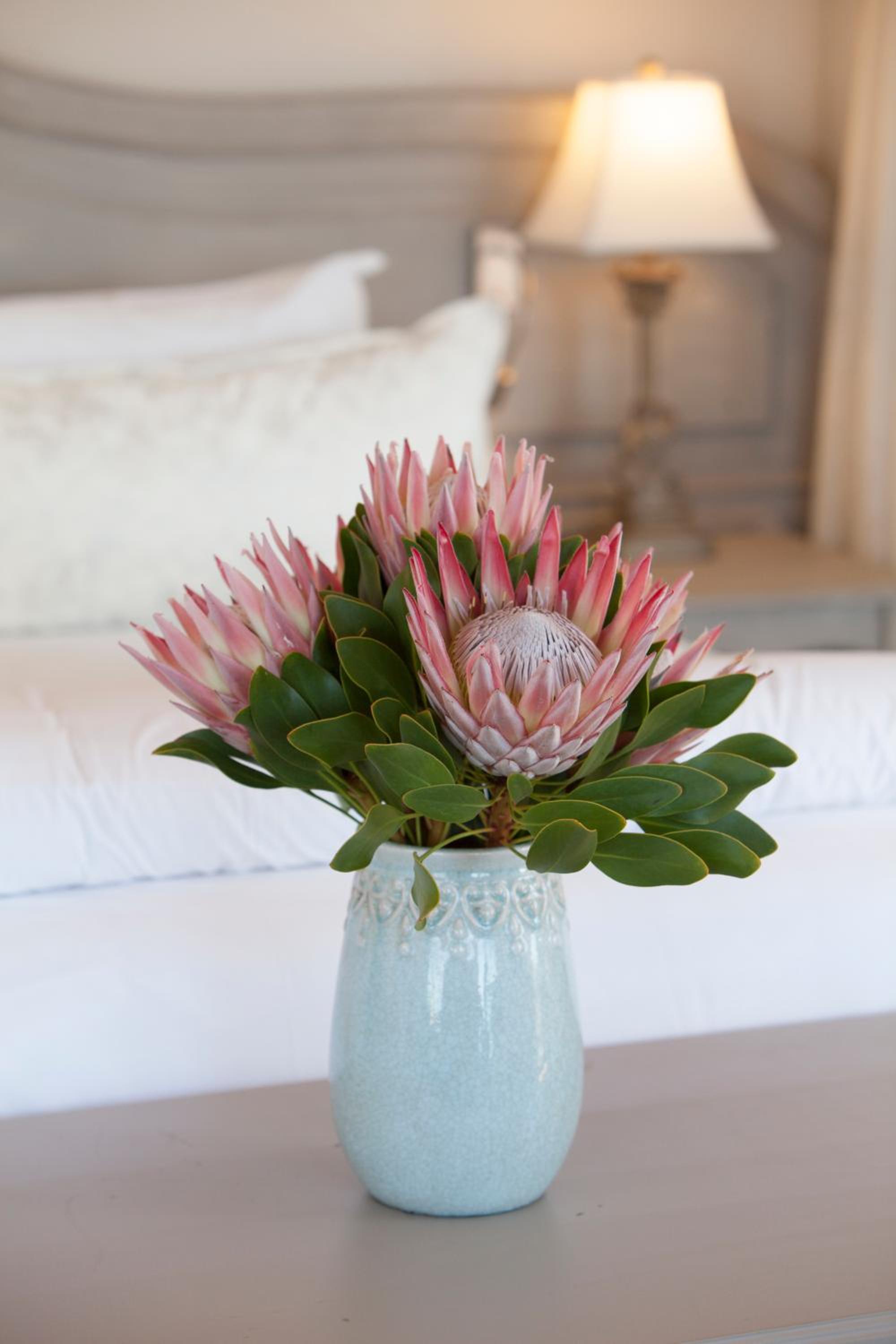 Hermanus Boutique Guest House
