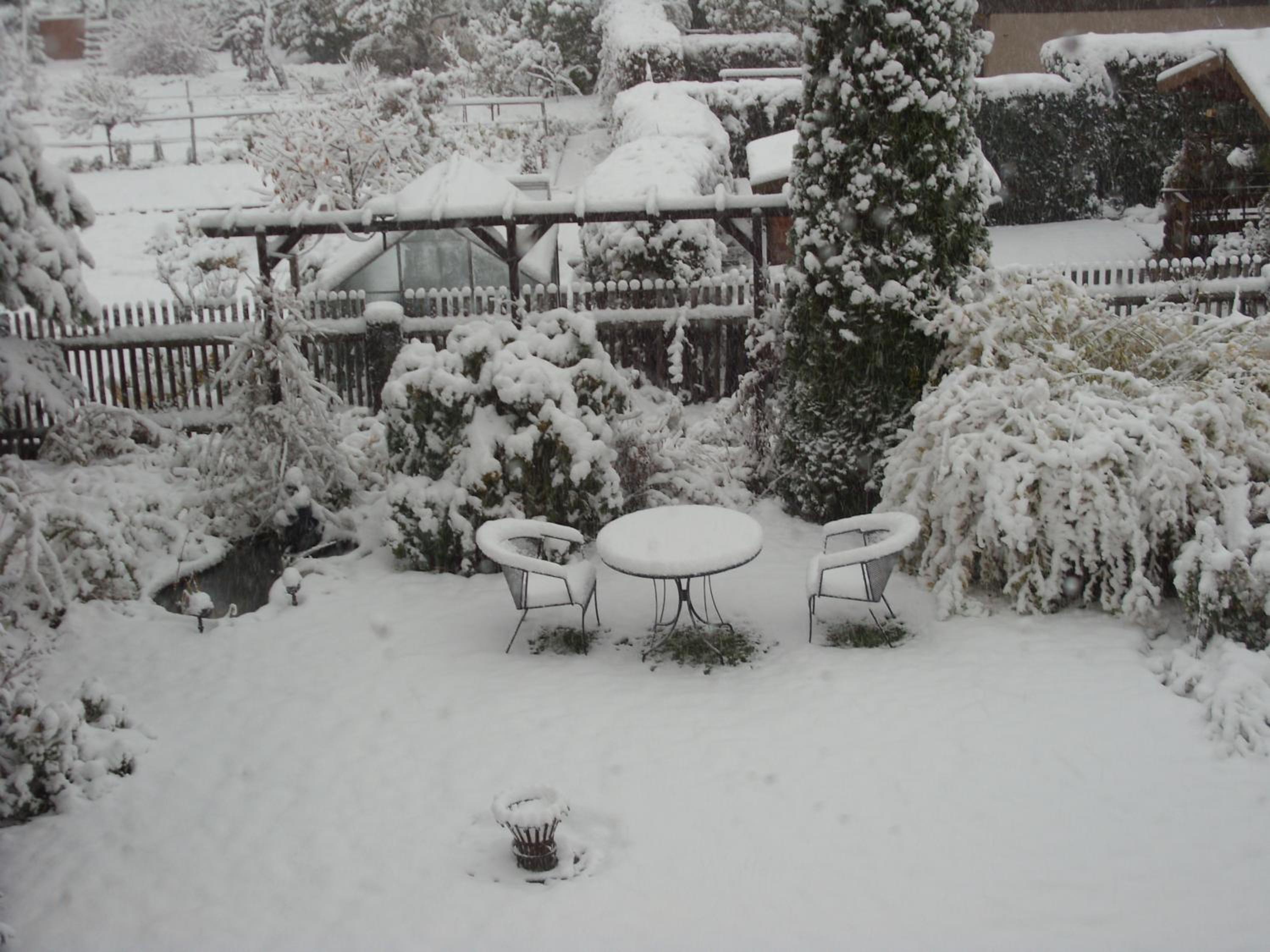 Photo 14
