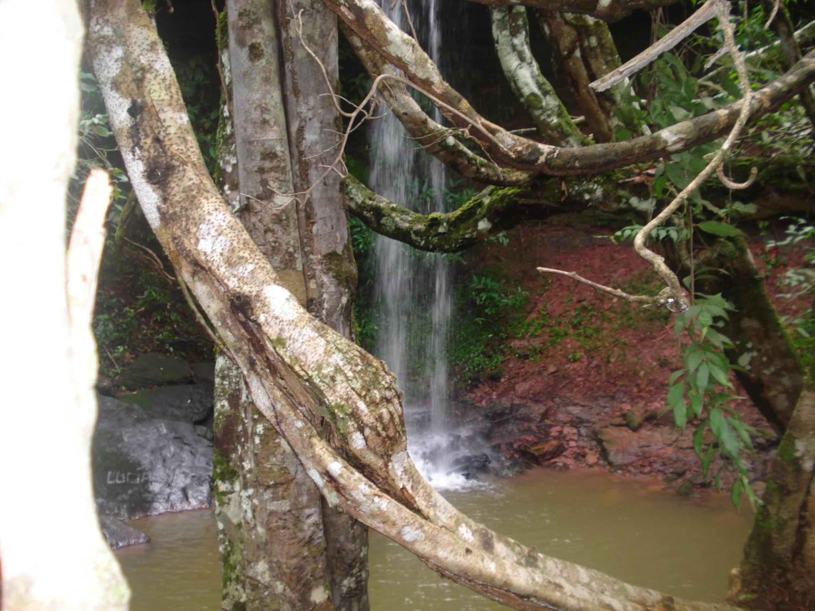 Pousada Jardim da Chapada