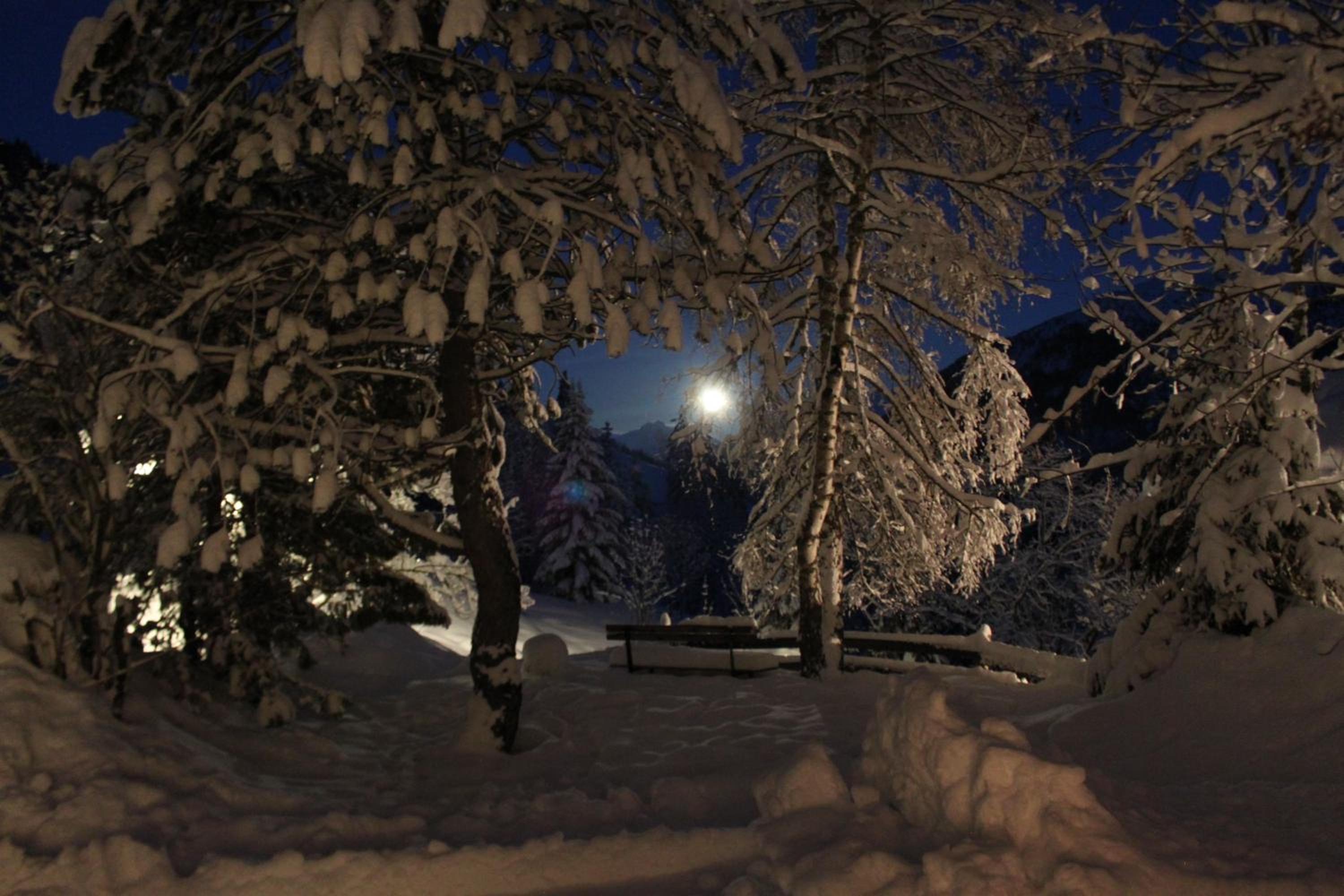 WOLF RETREAT Apartments im Lechtal davor Appartementhaus Michaela