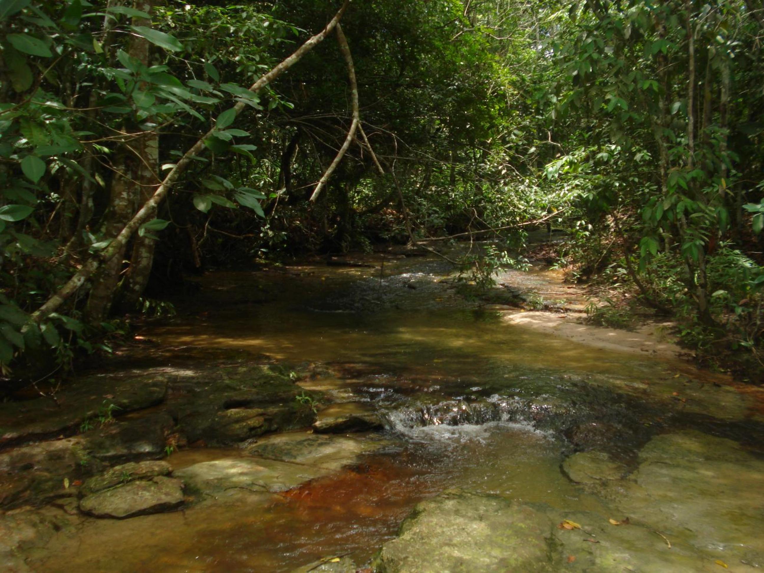 Pousada Jardim da Chapada