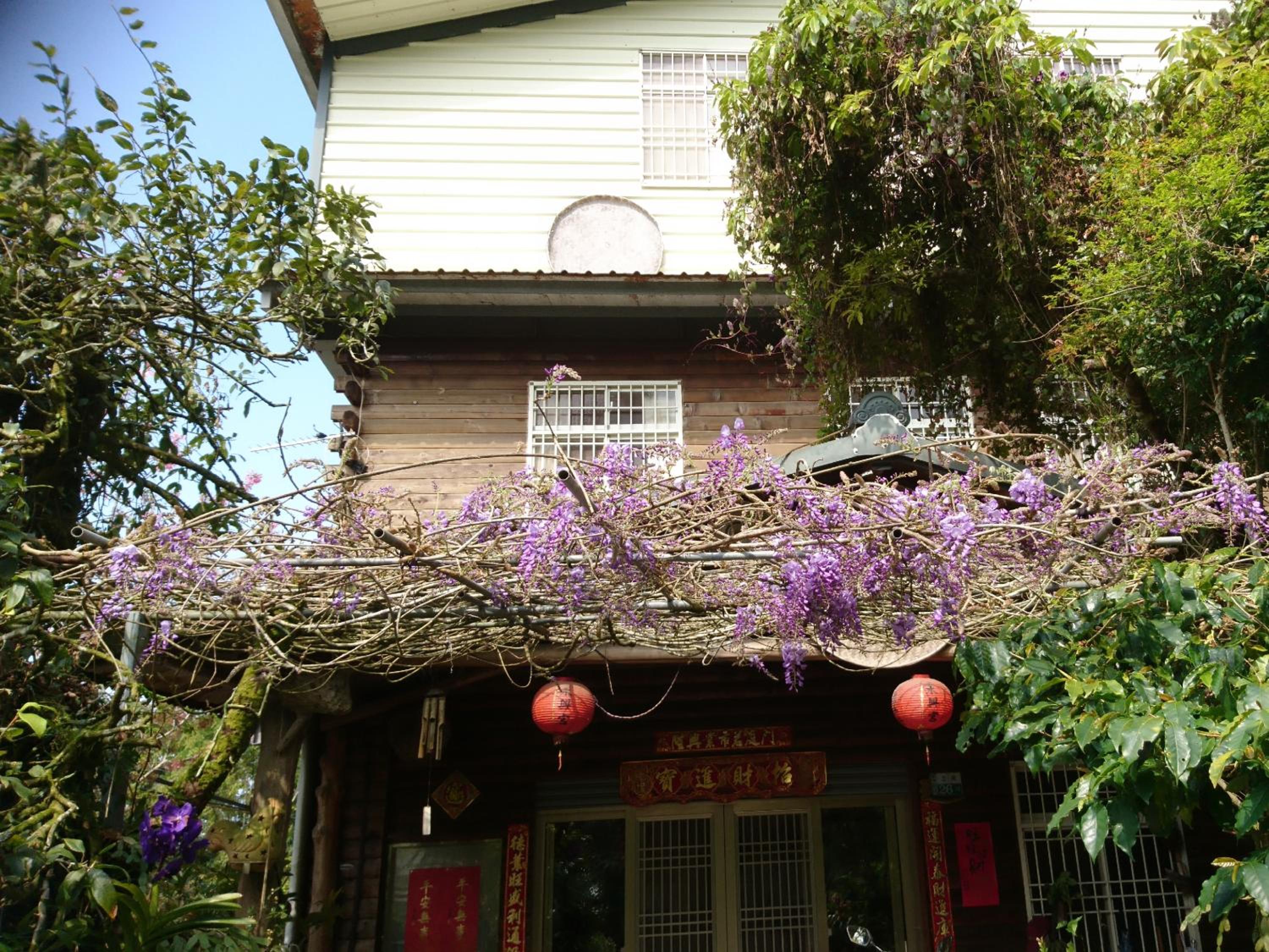 An Yun Mountain Homestay view 5