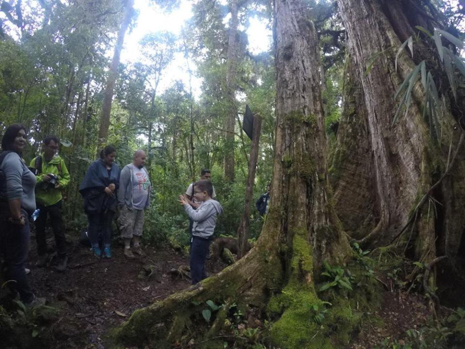 Cabaña de montaña La Magnolia, Cerro de la Muerte De La Cañuela Cloud Forest