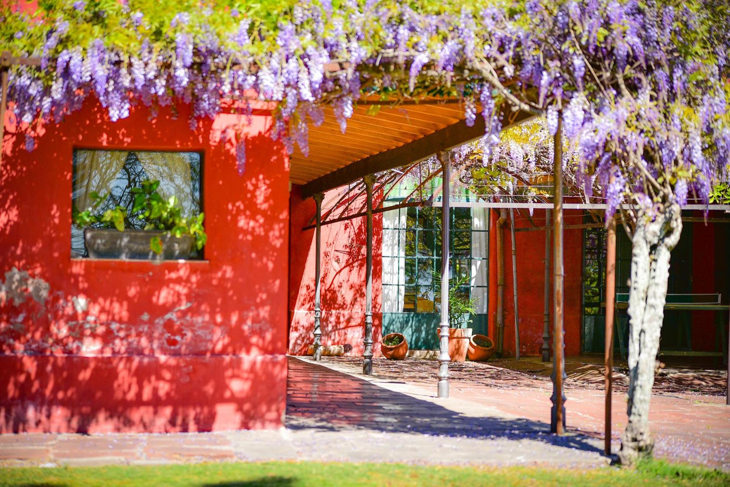 Estancia La violeta