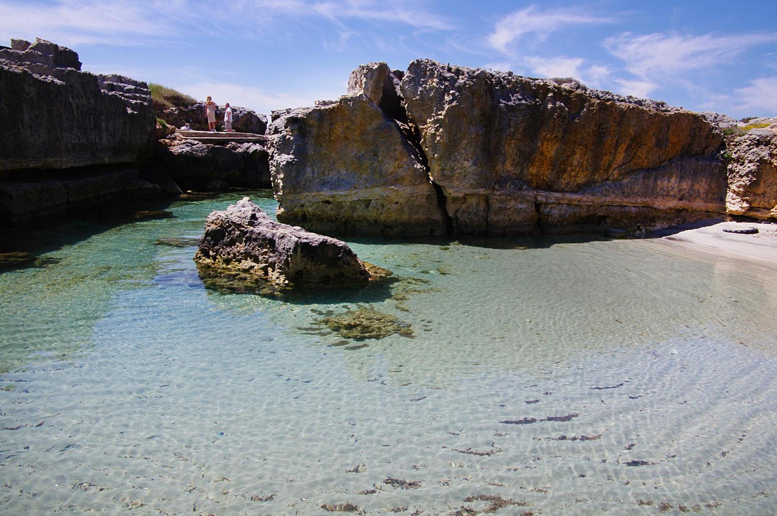 Photo 95