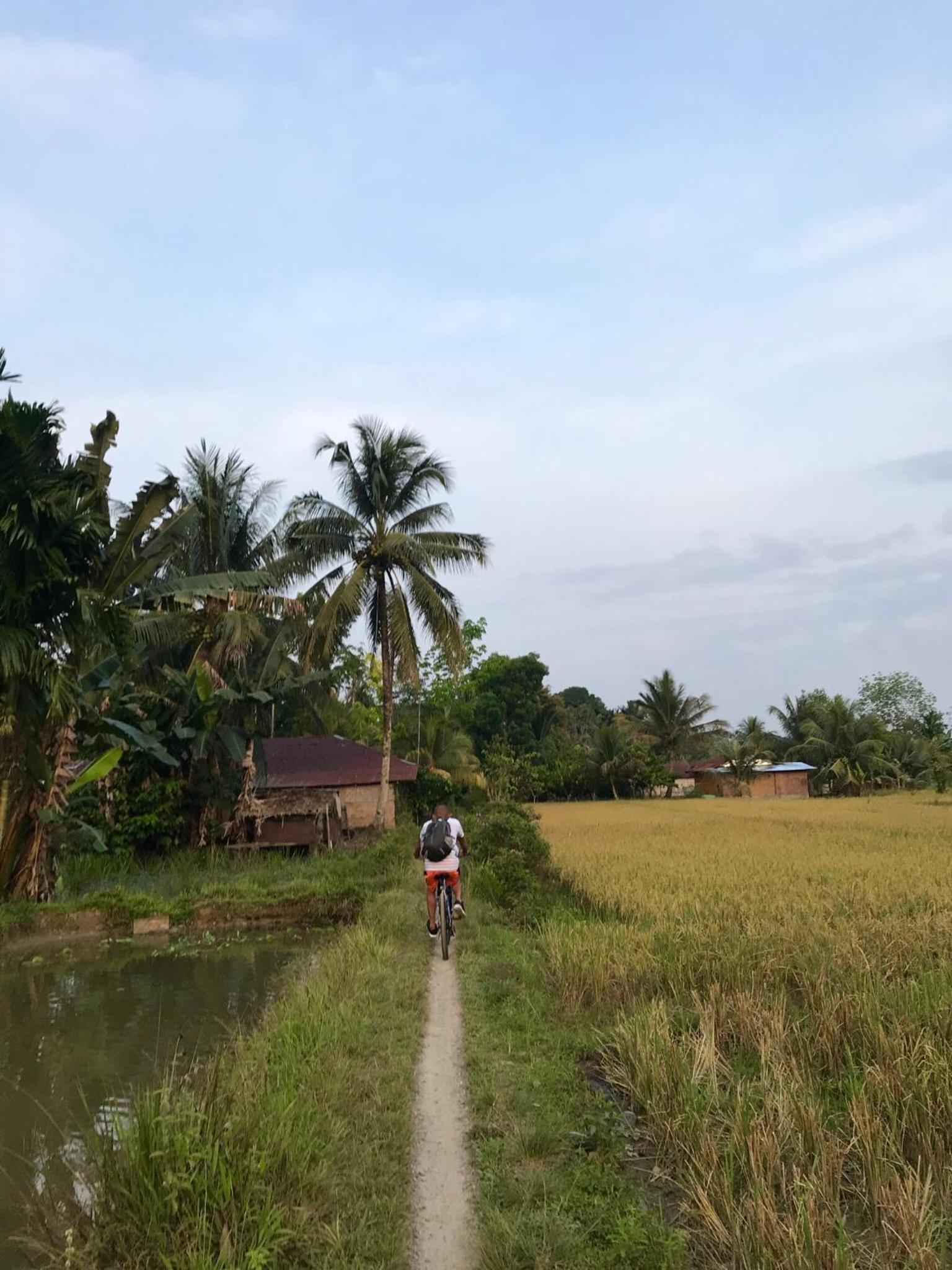 Villa Paradise - Bukit Lawang
