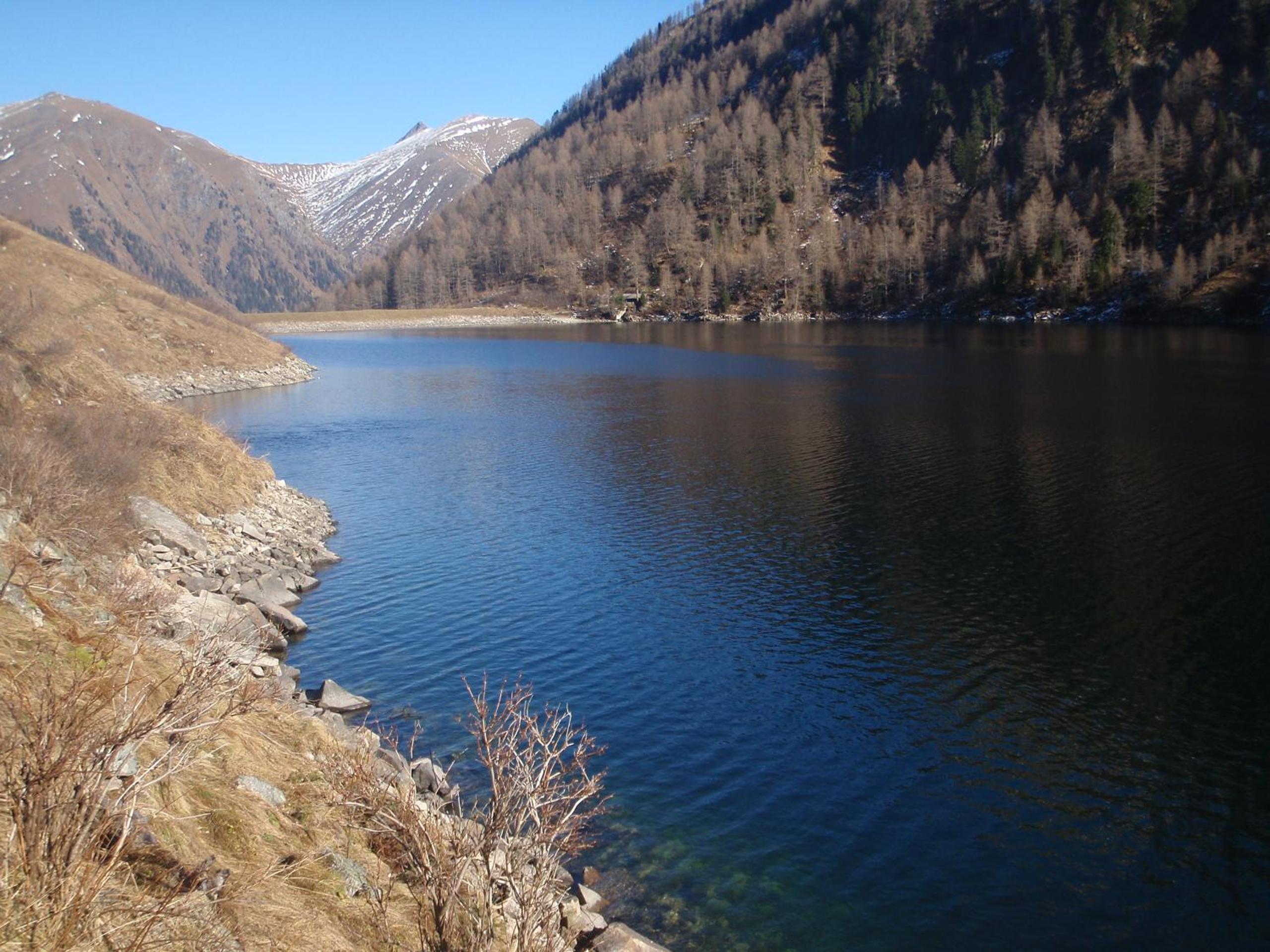 Da Bräuhauser