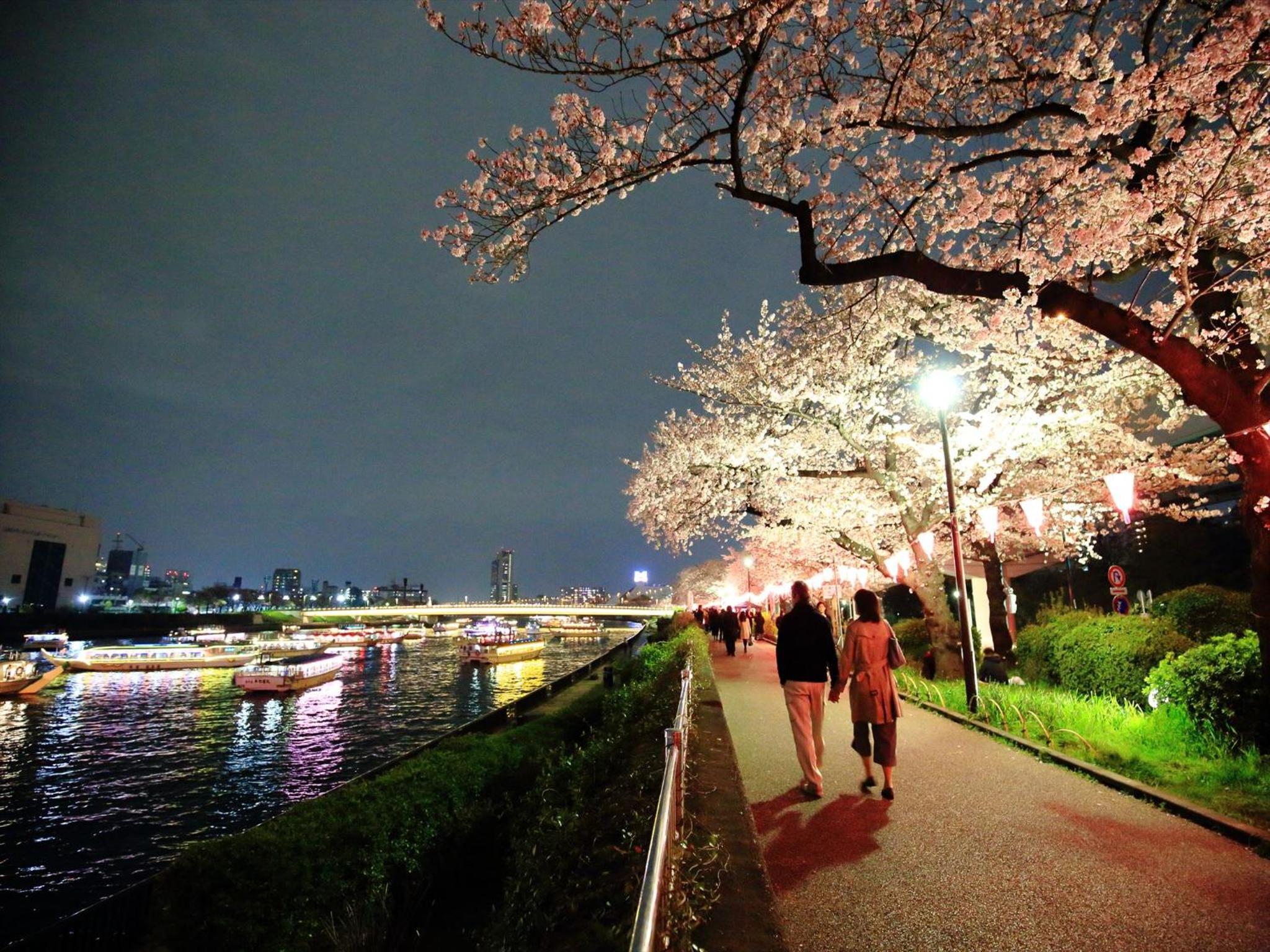 COTO Tokyo Asakusa 4