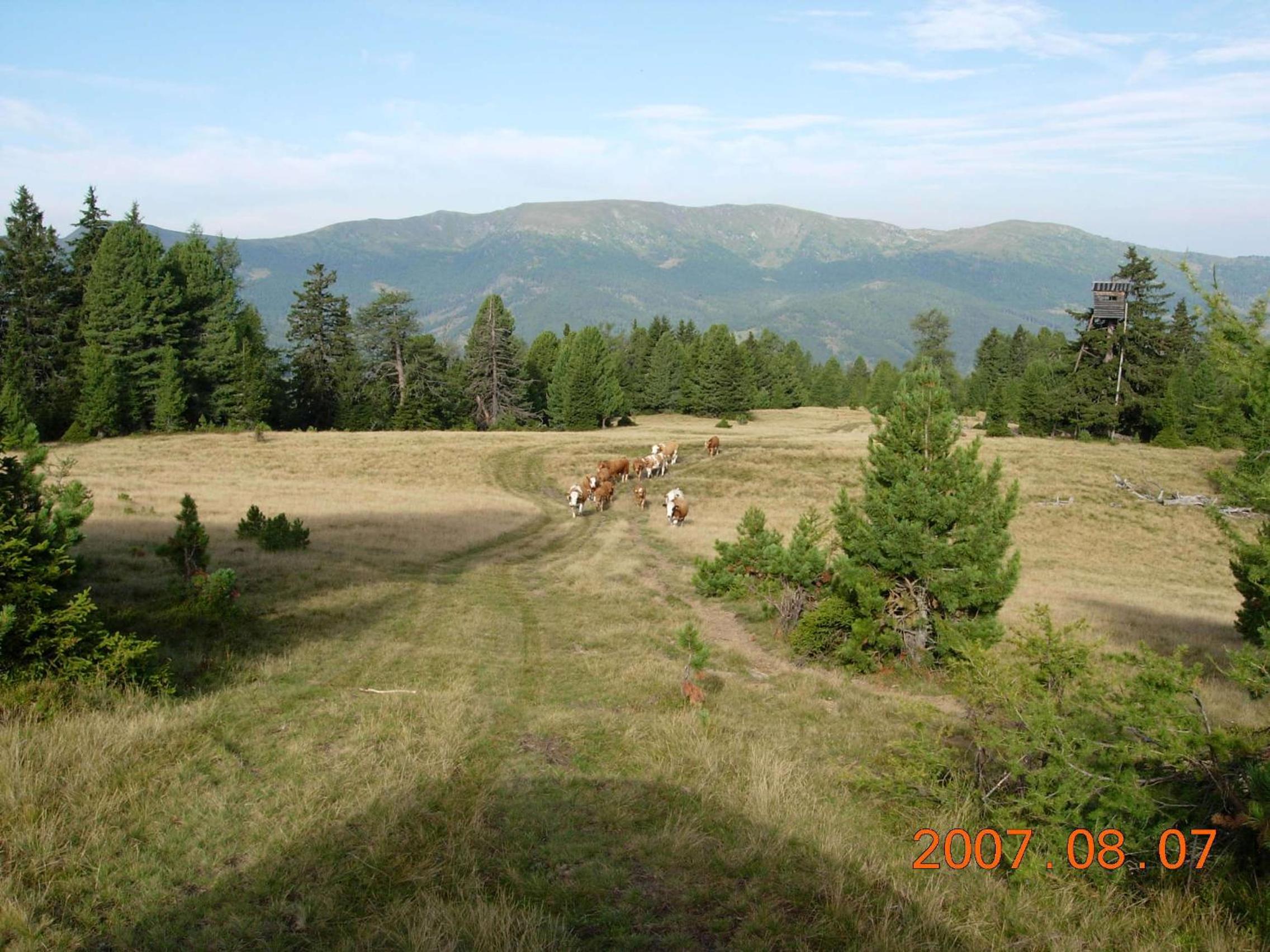 Da Bräuhauser