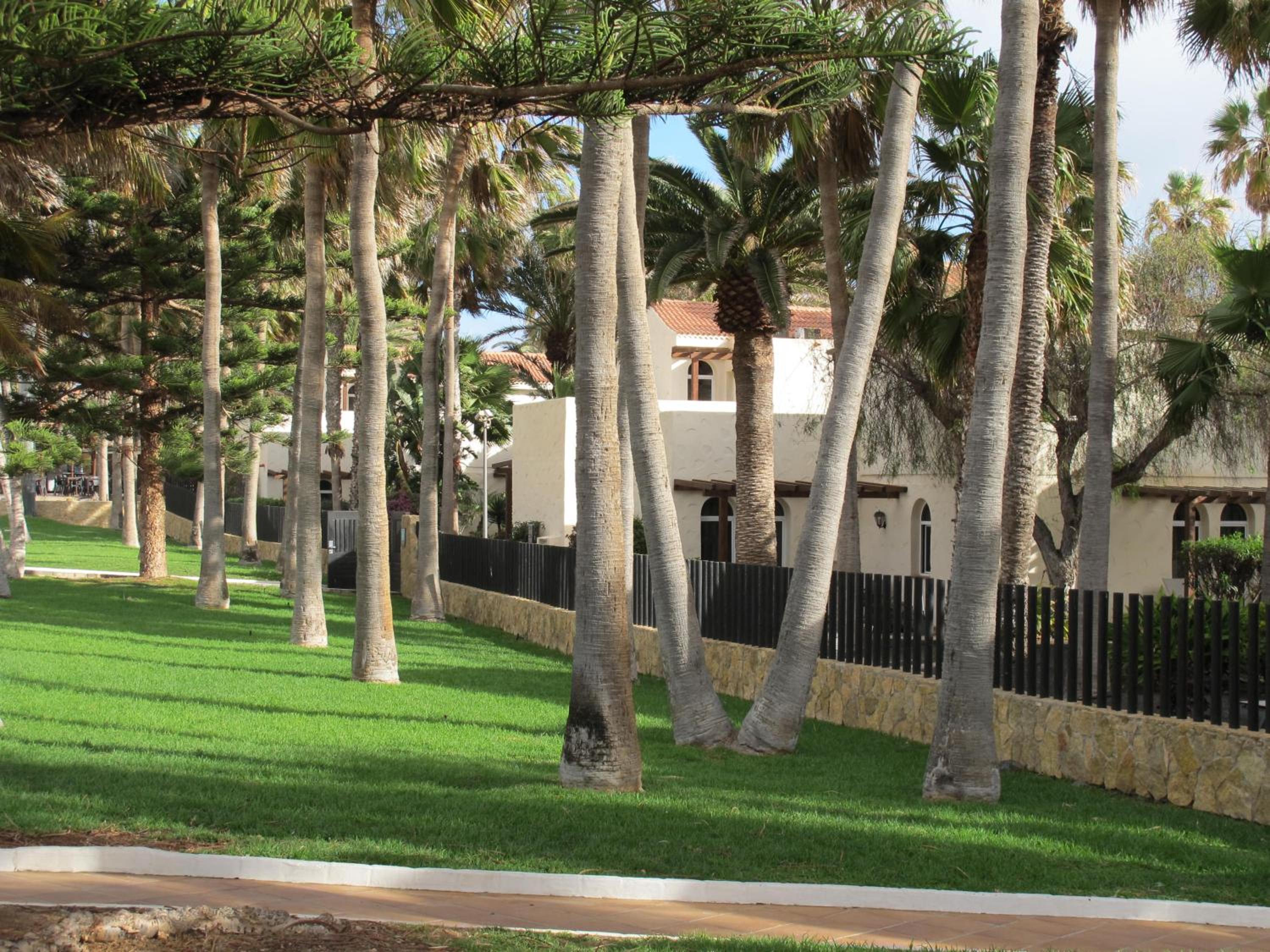 Bahia sol